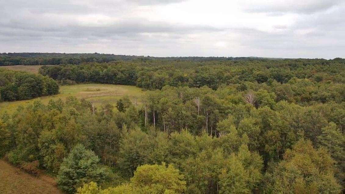 main property photo 60