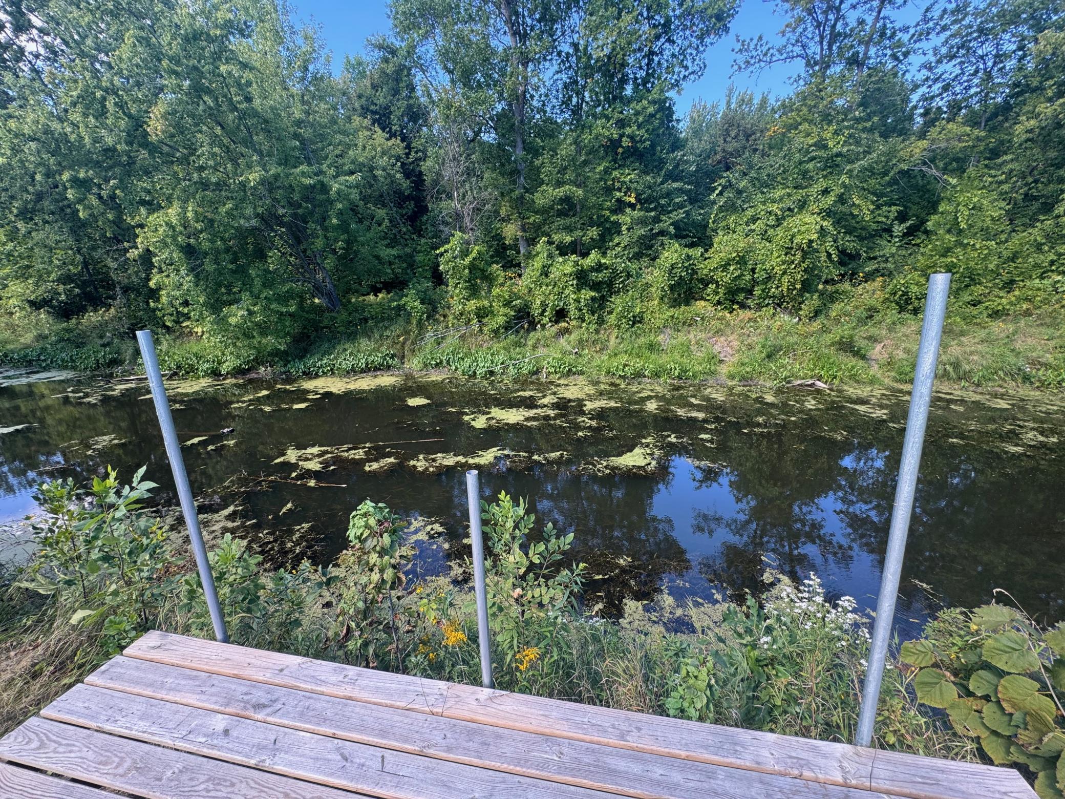 main property photo 17
