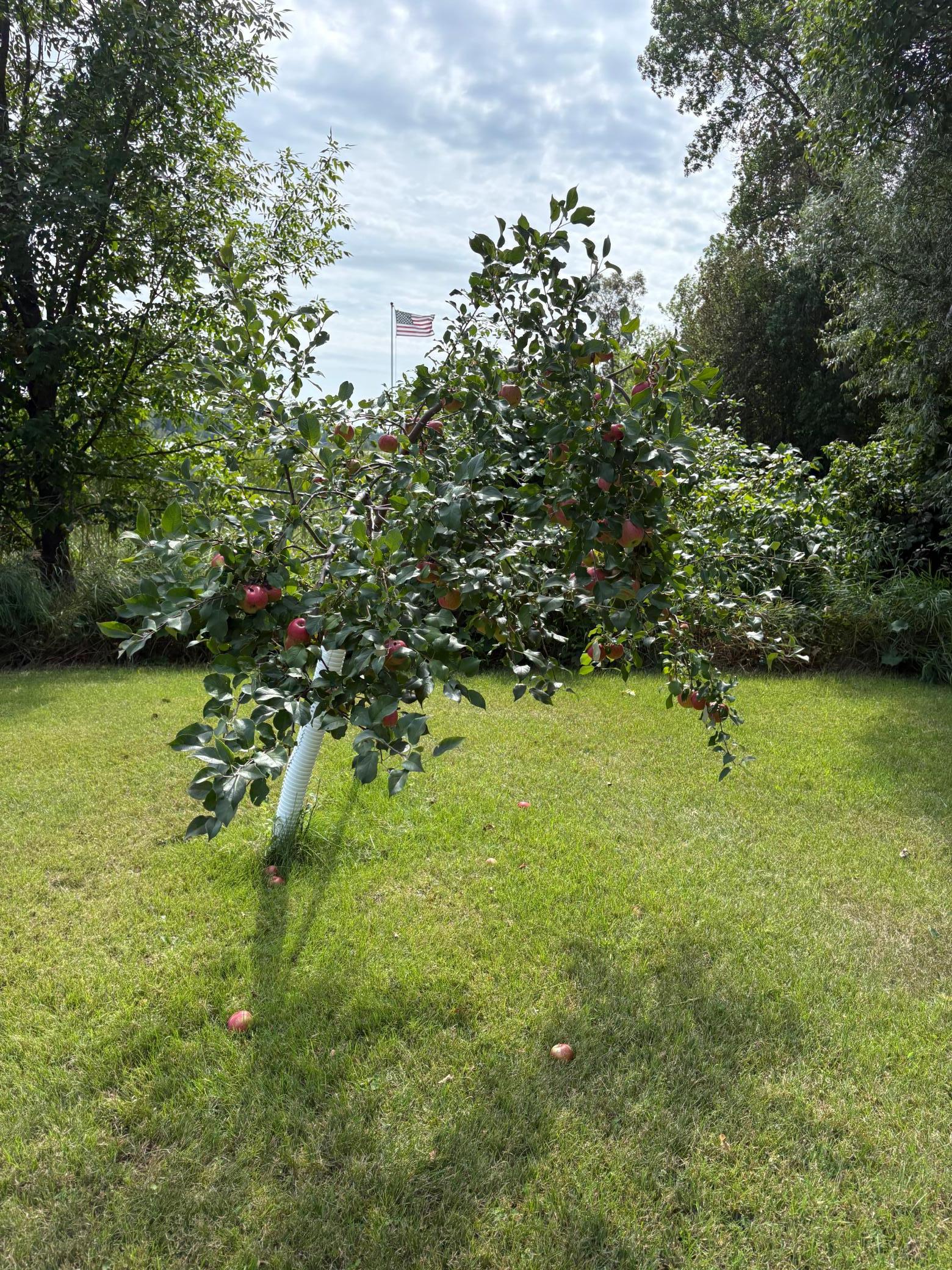 main property photo 25