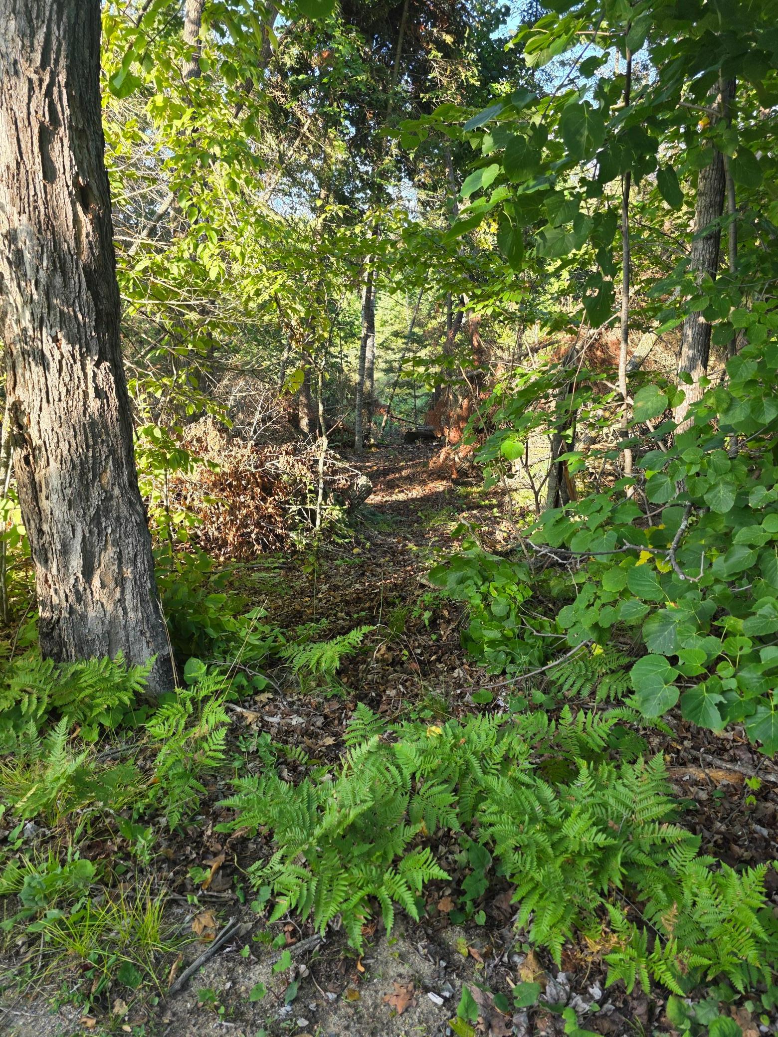 main property photo 48