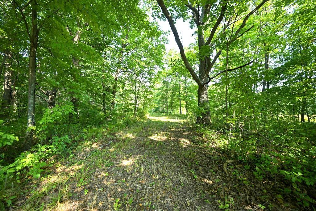 main property photo 0