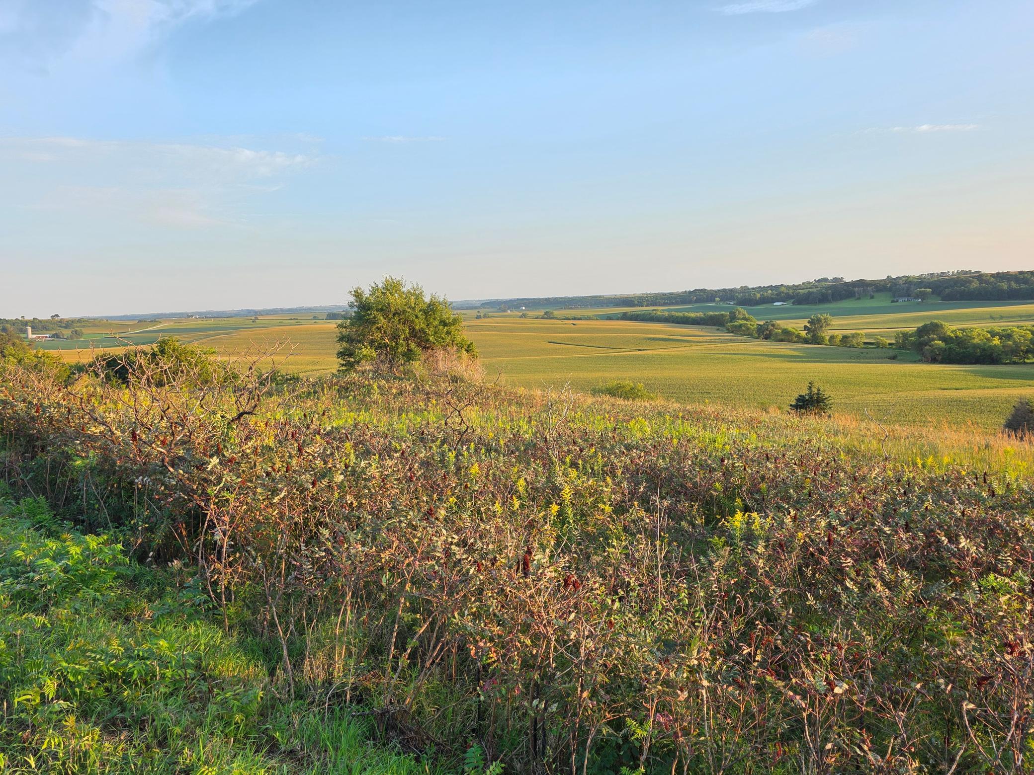 main property photo 20