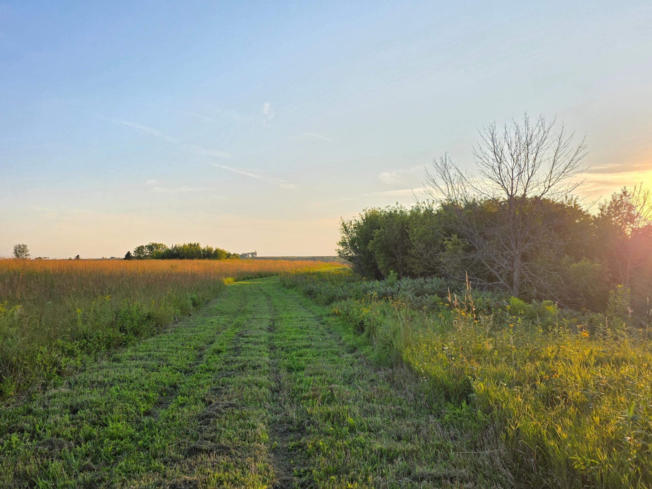 main property photo 21