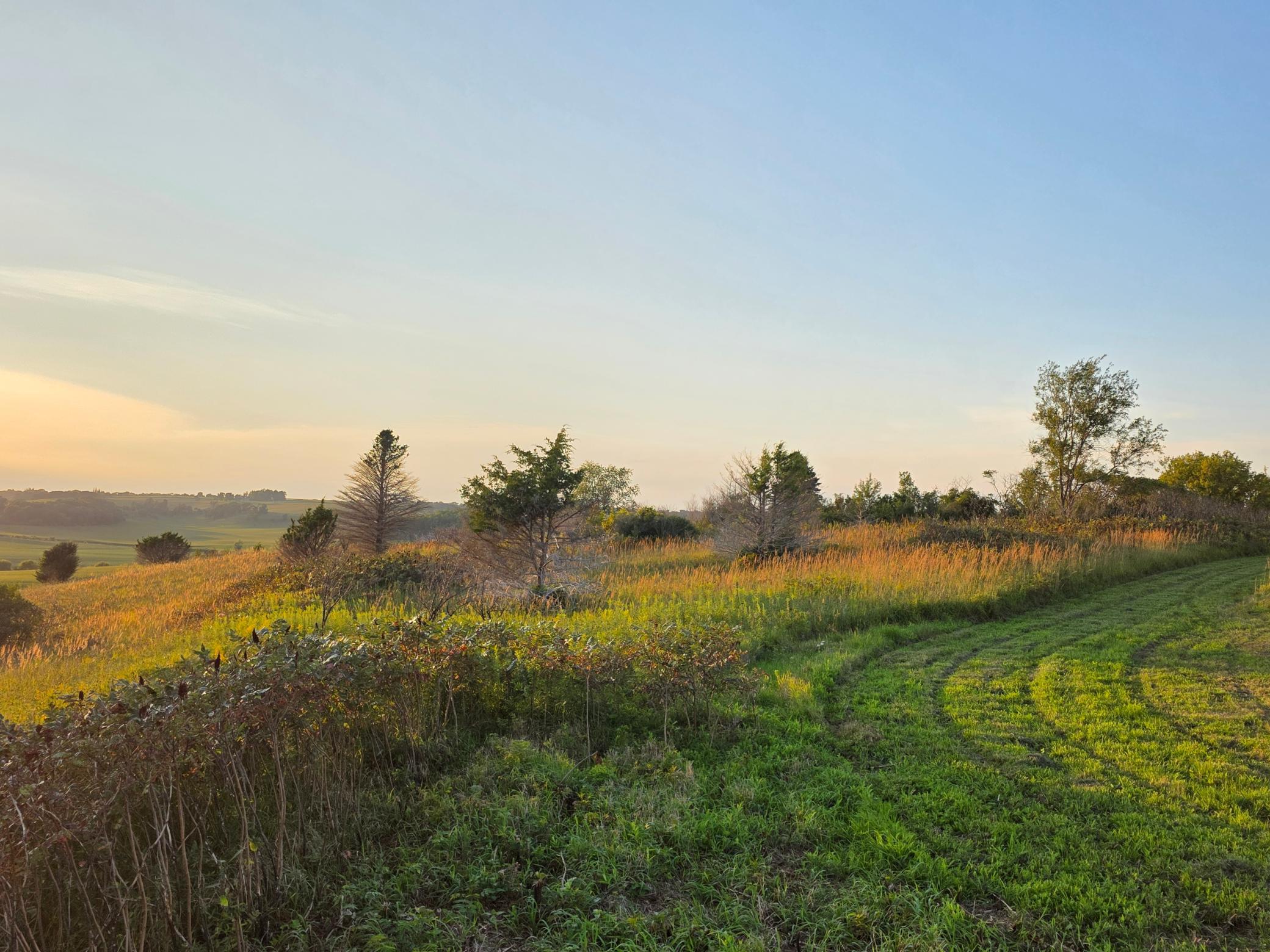 main property photo 22