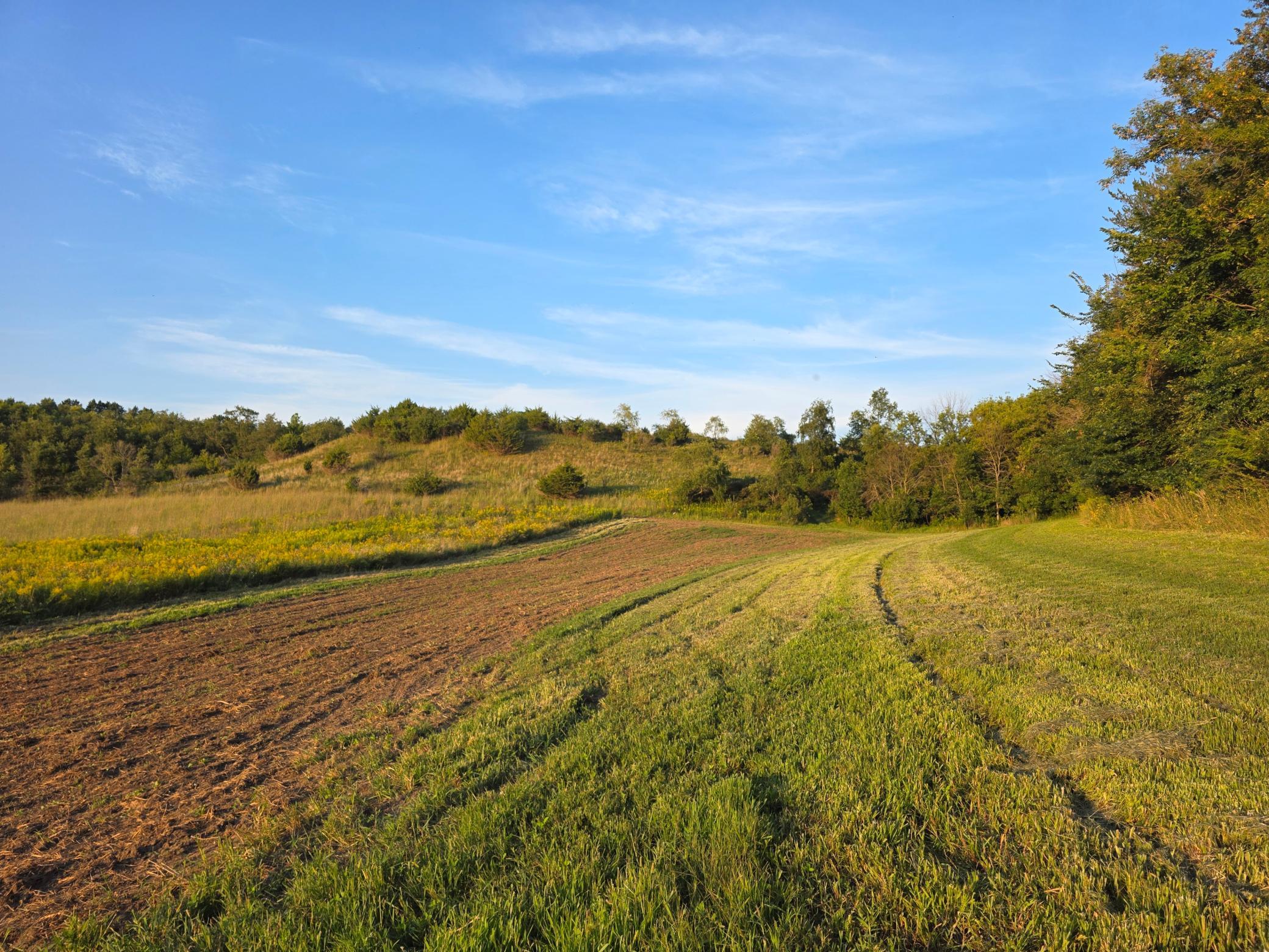 main property photo 23