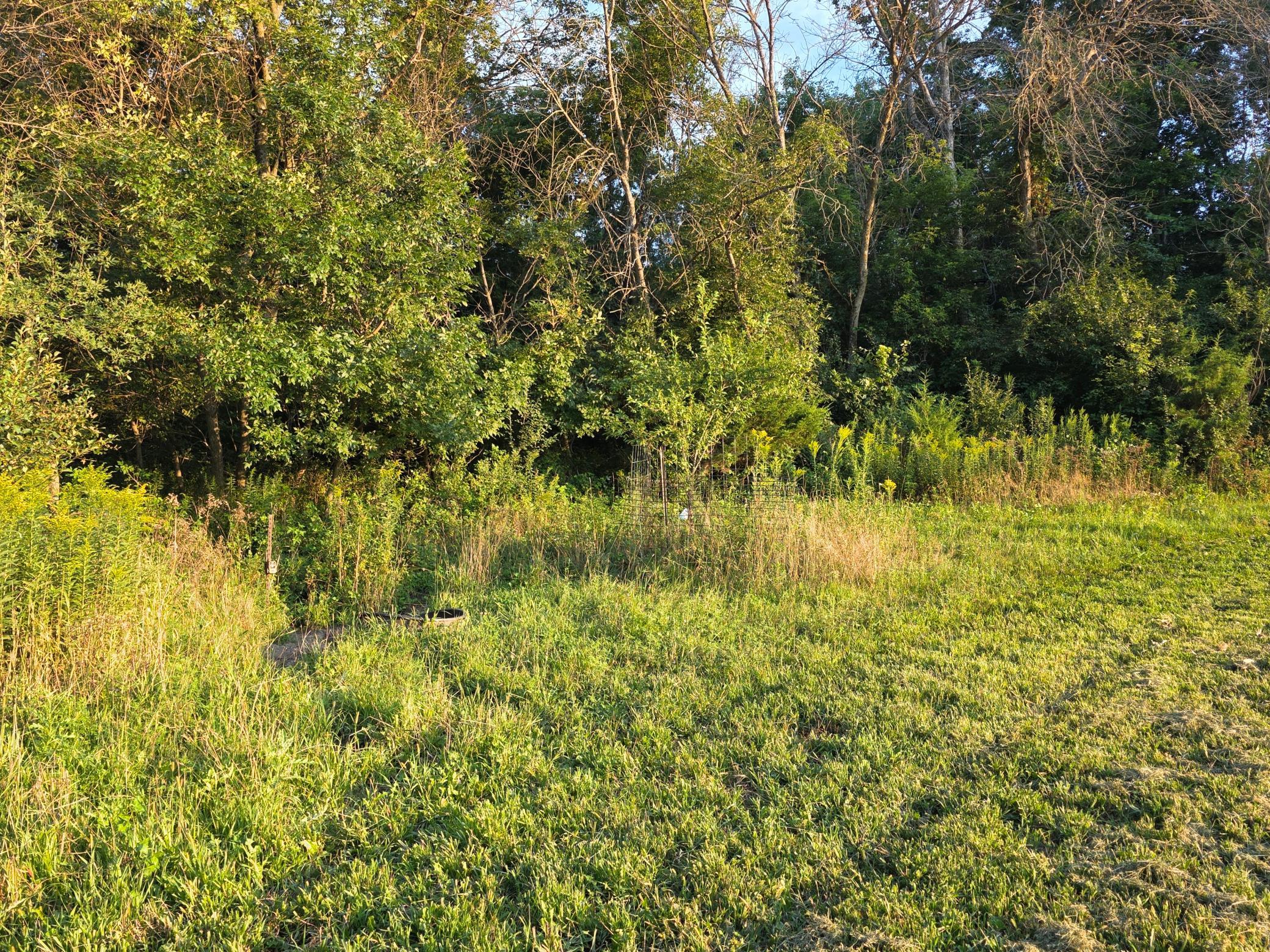 main property photo 27