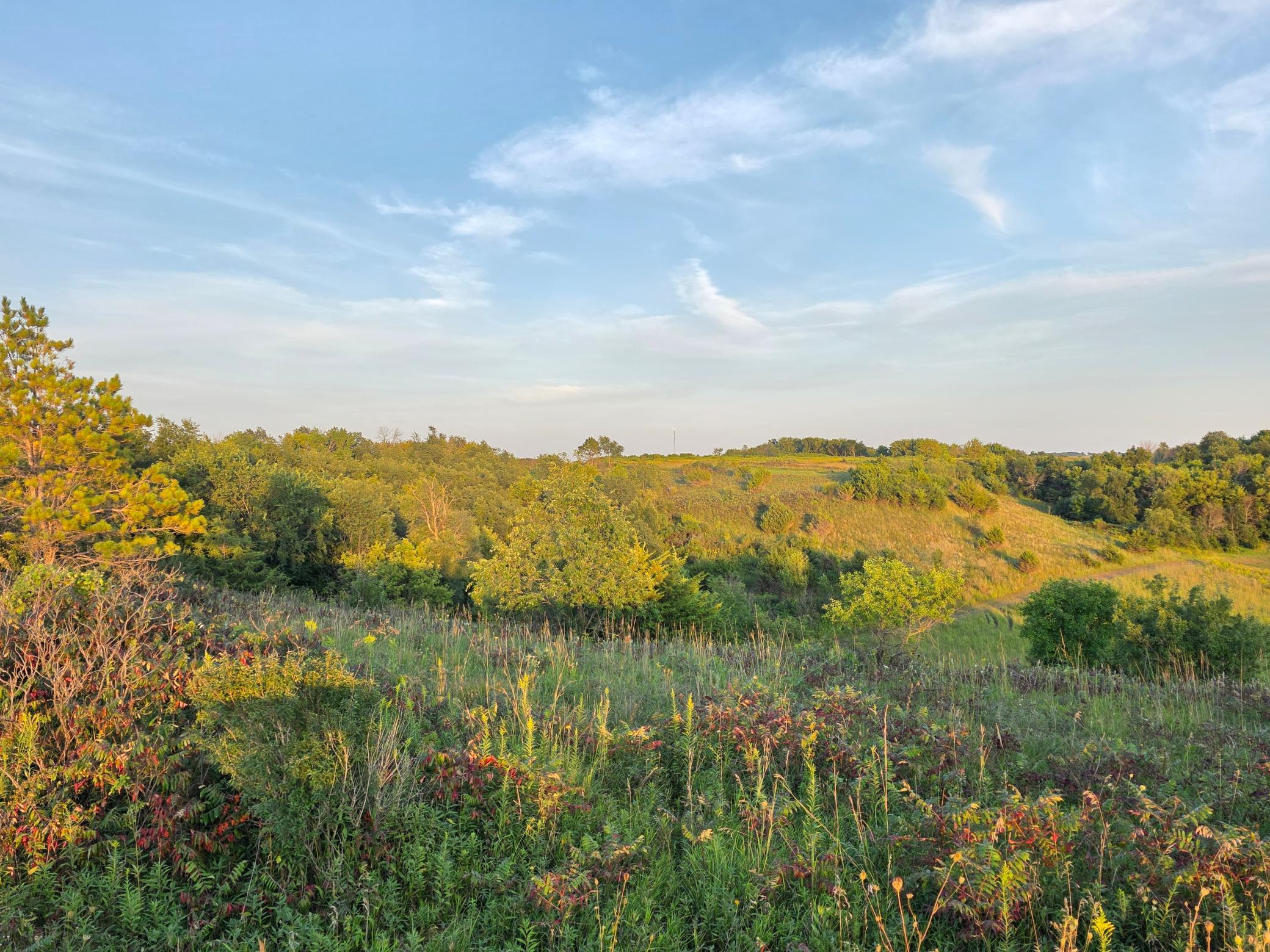 main property photo 29