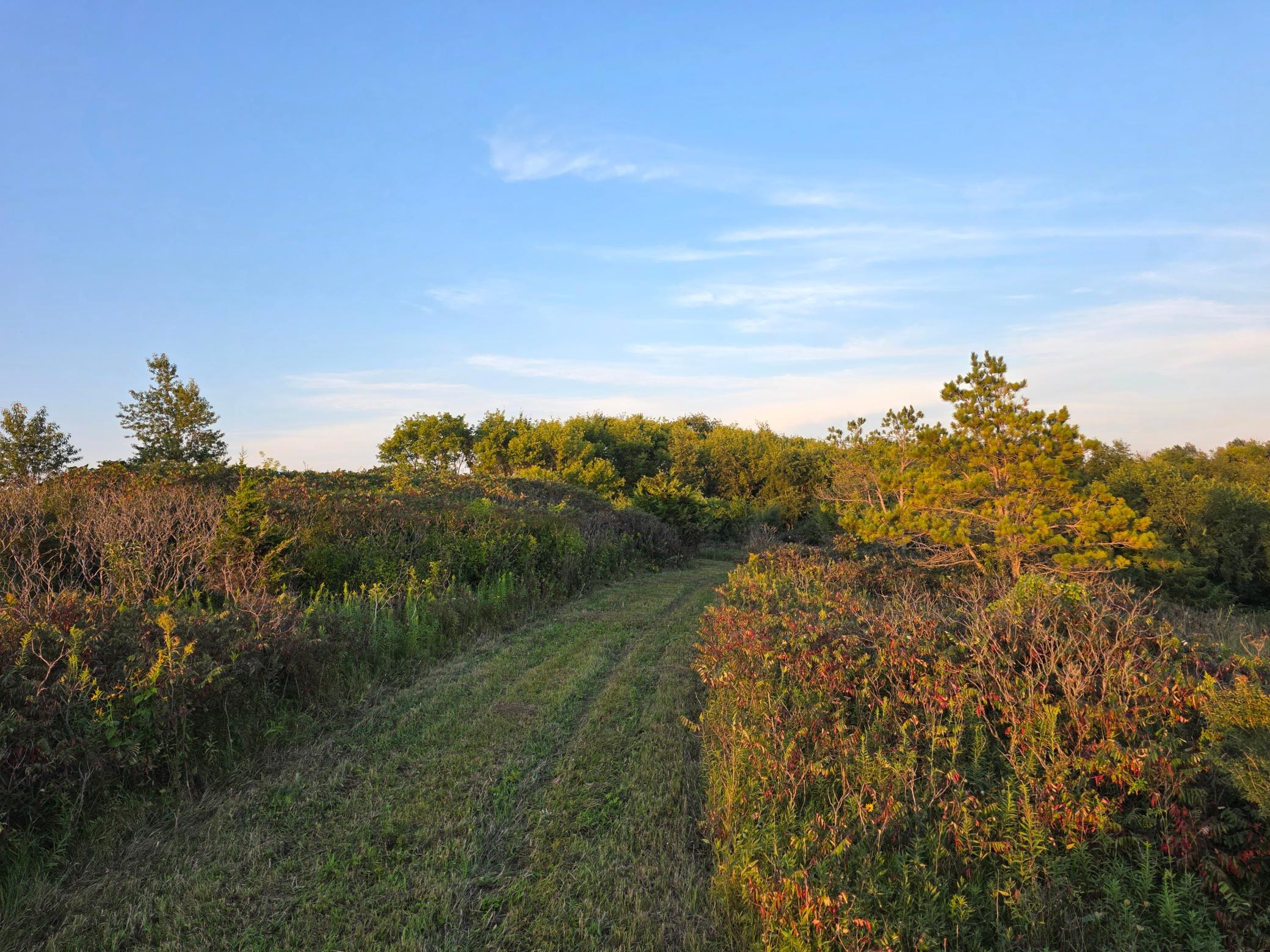 main property photo 32