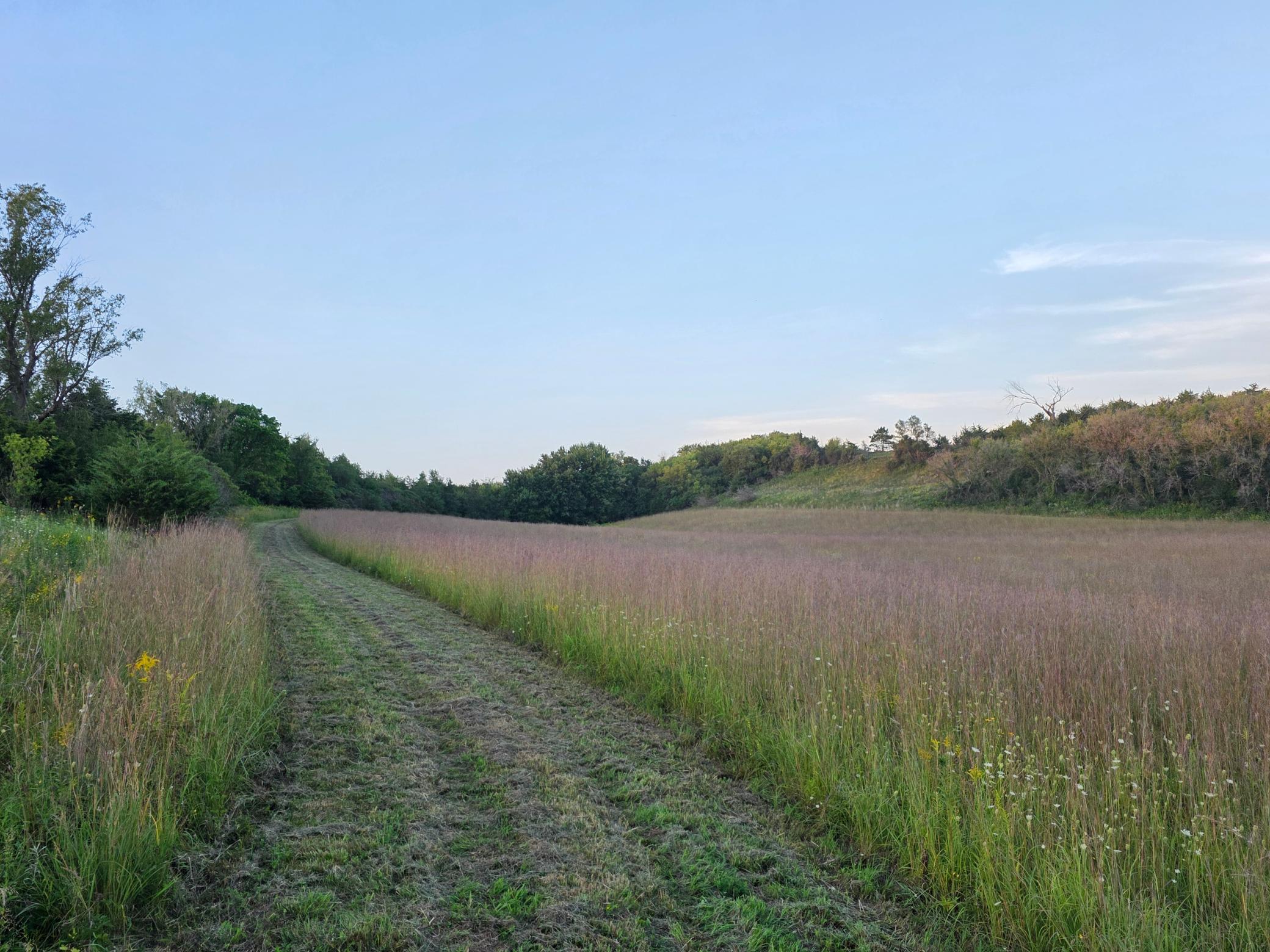 main property photo 35
