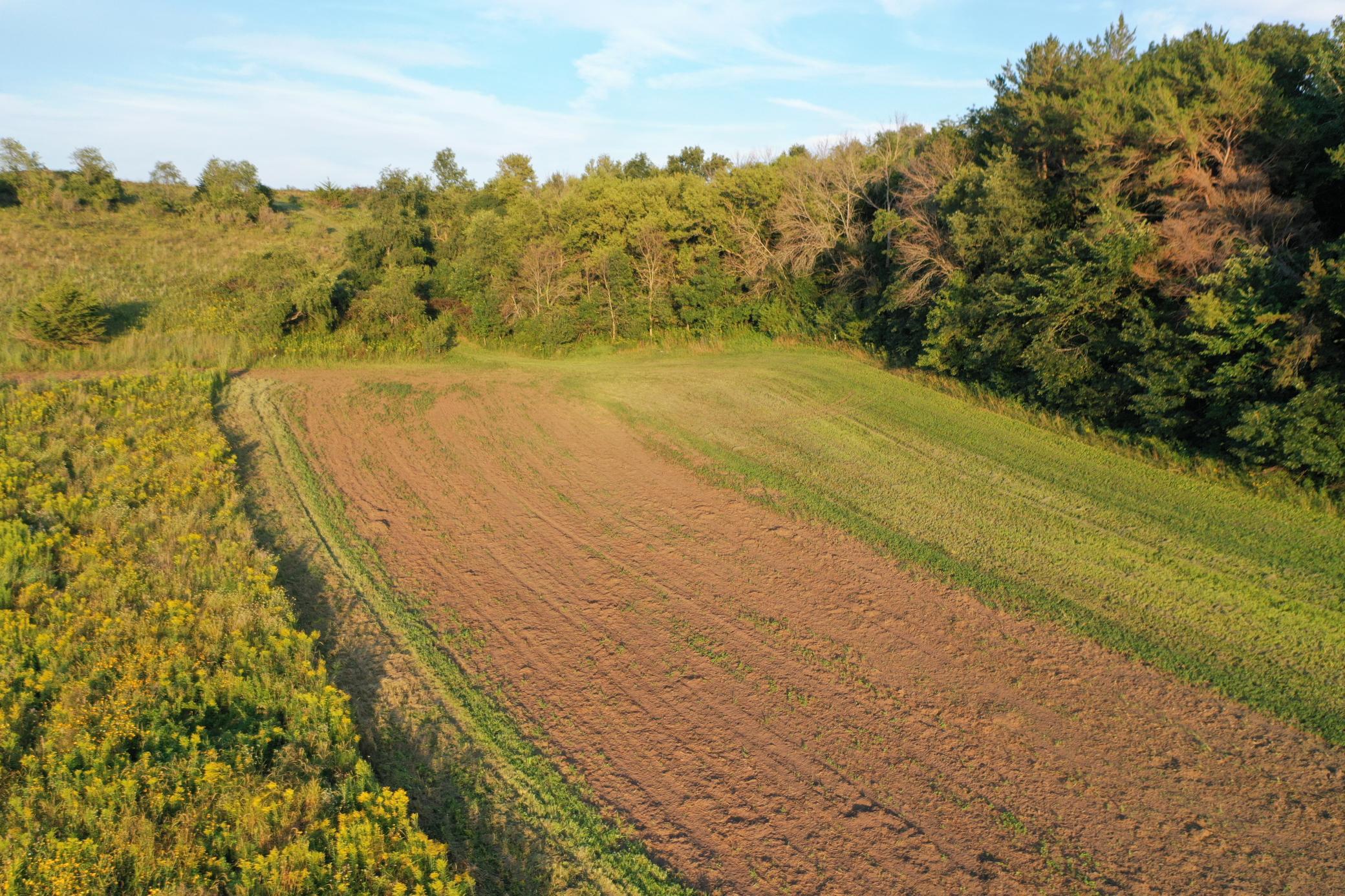 main property photo 47