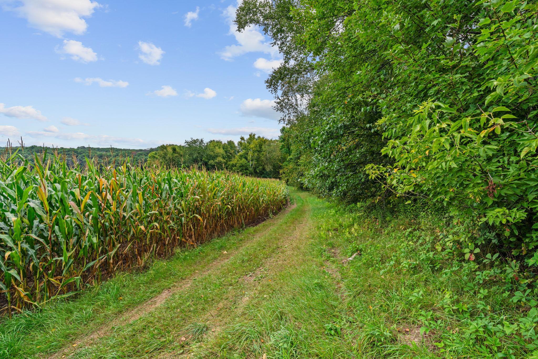 main property photo 40