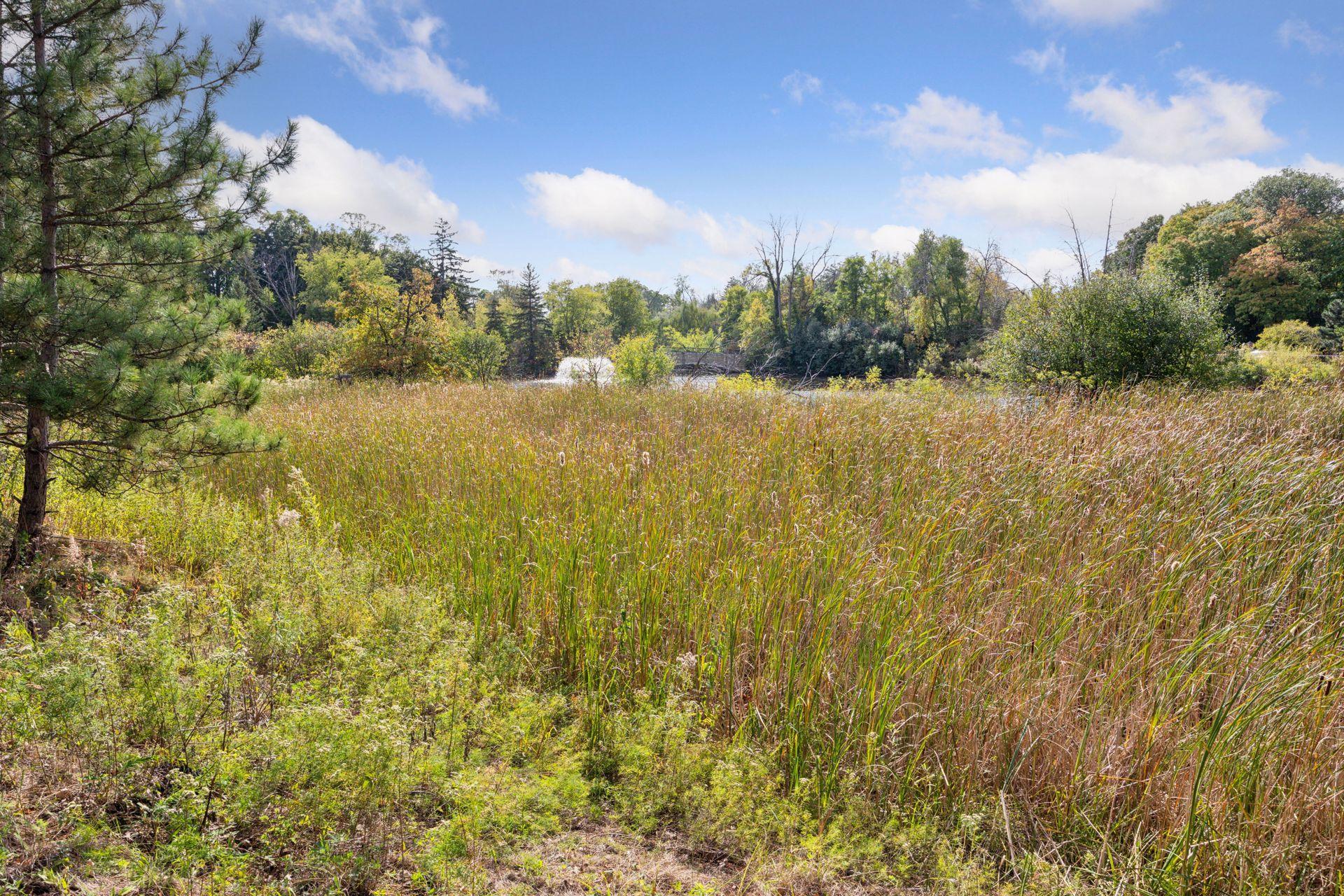 main property photo 93