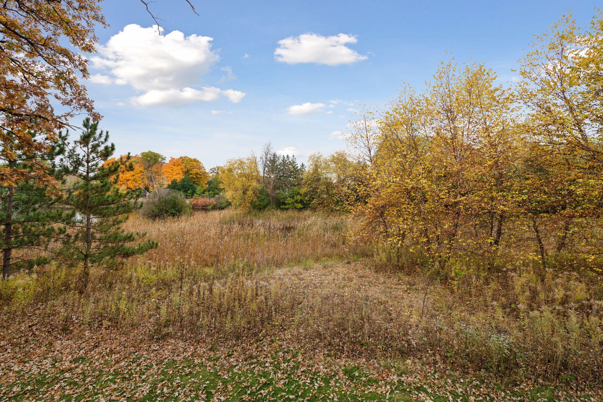 main property photo 95