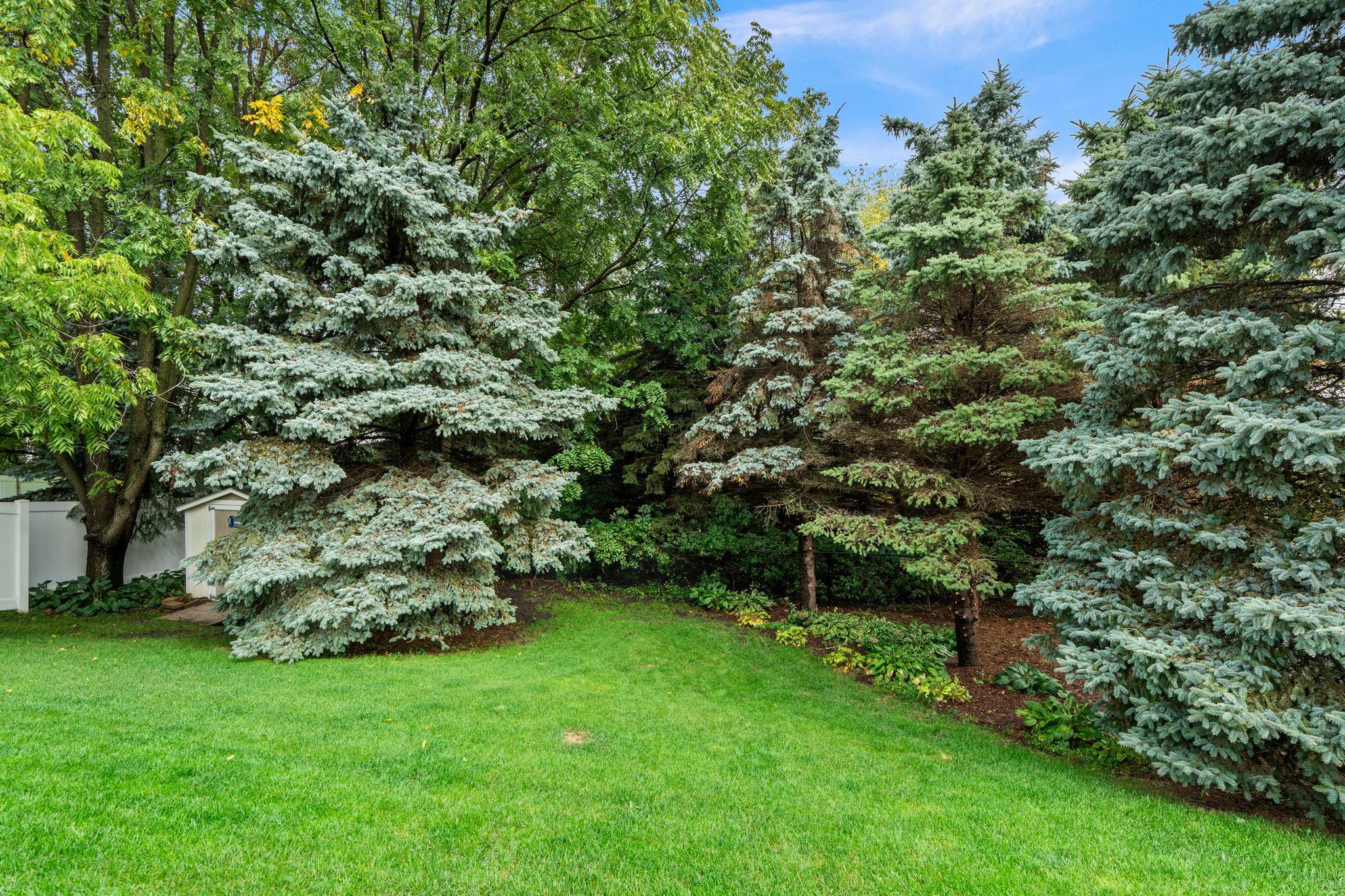 main property photo 53