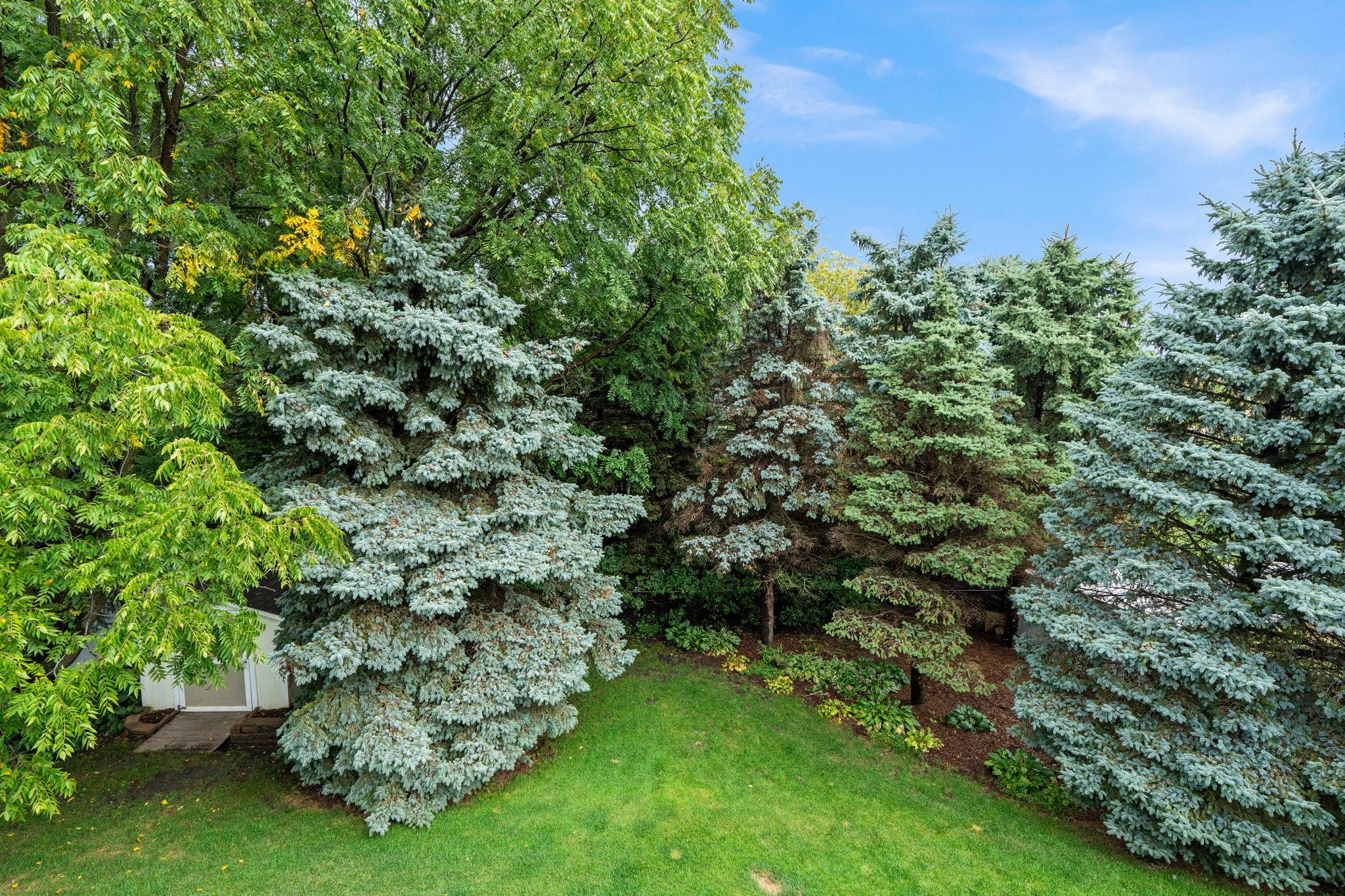 main property photo 54