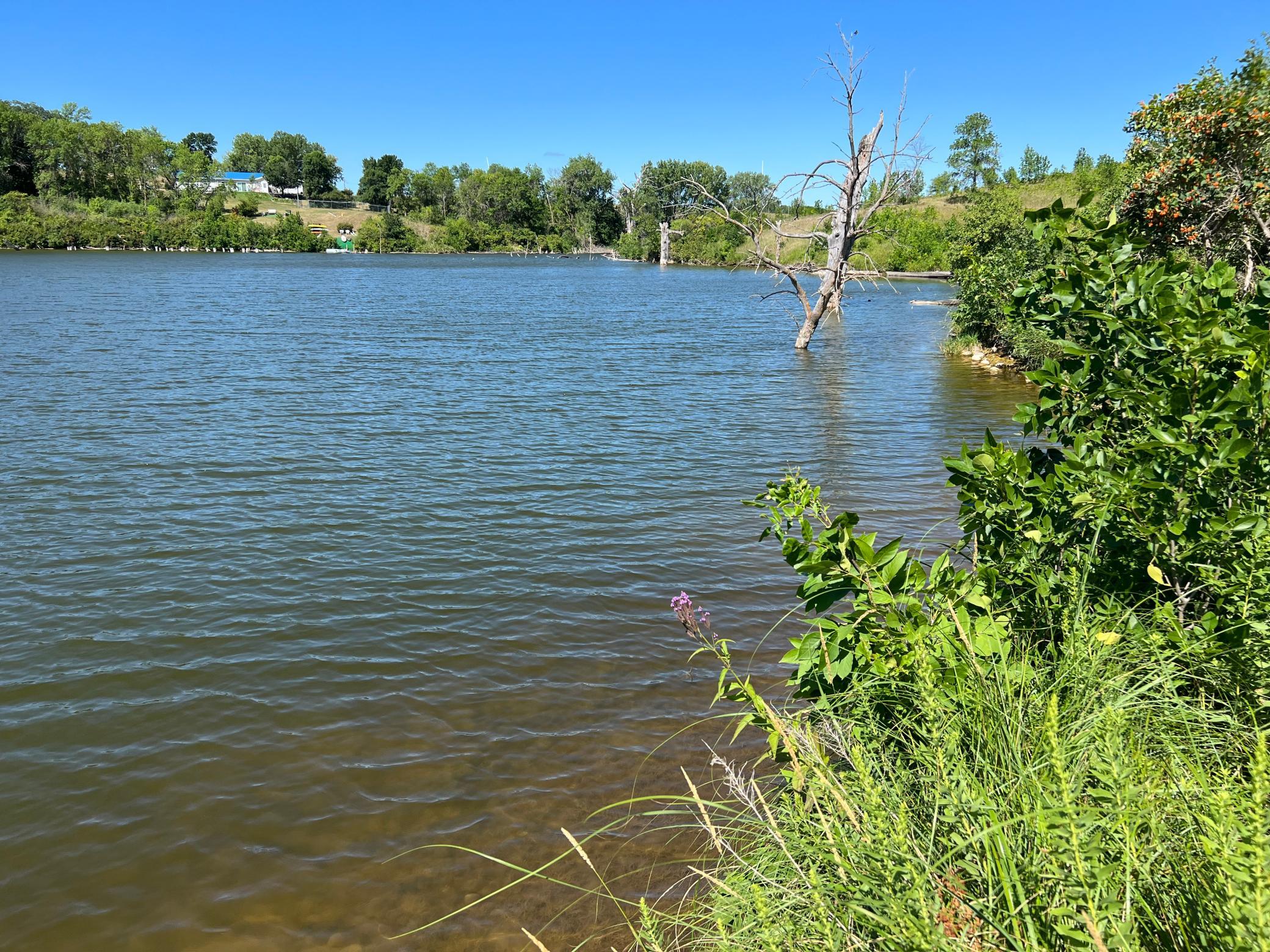 main property photo 8