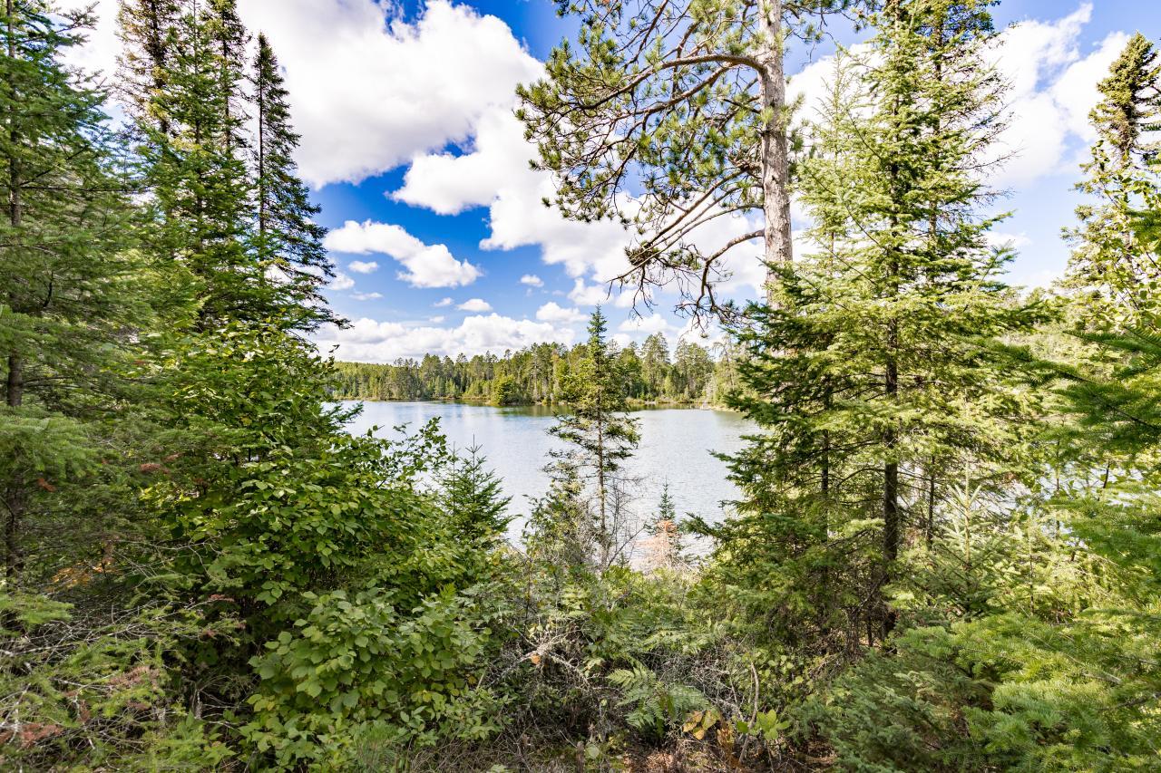 main property photo 67