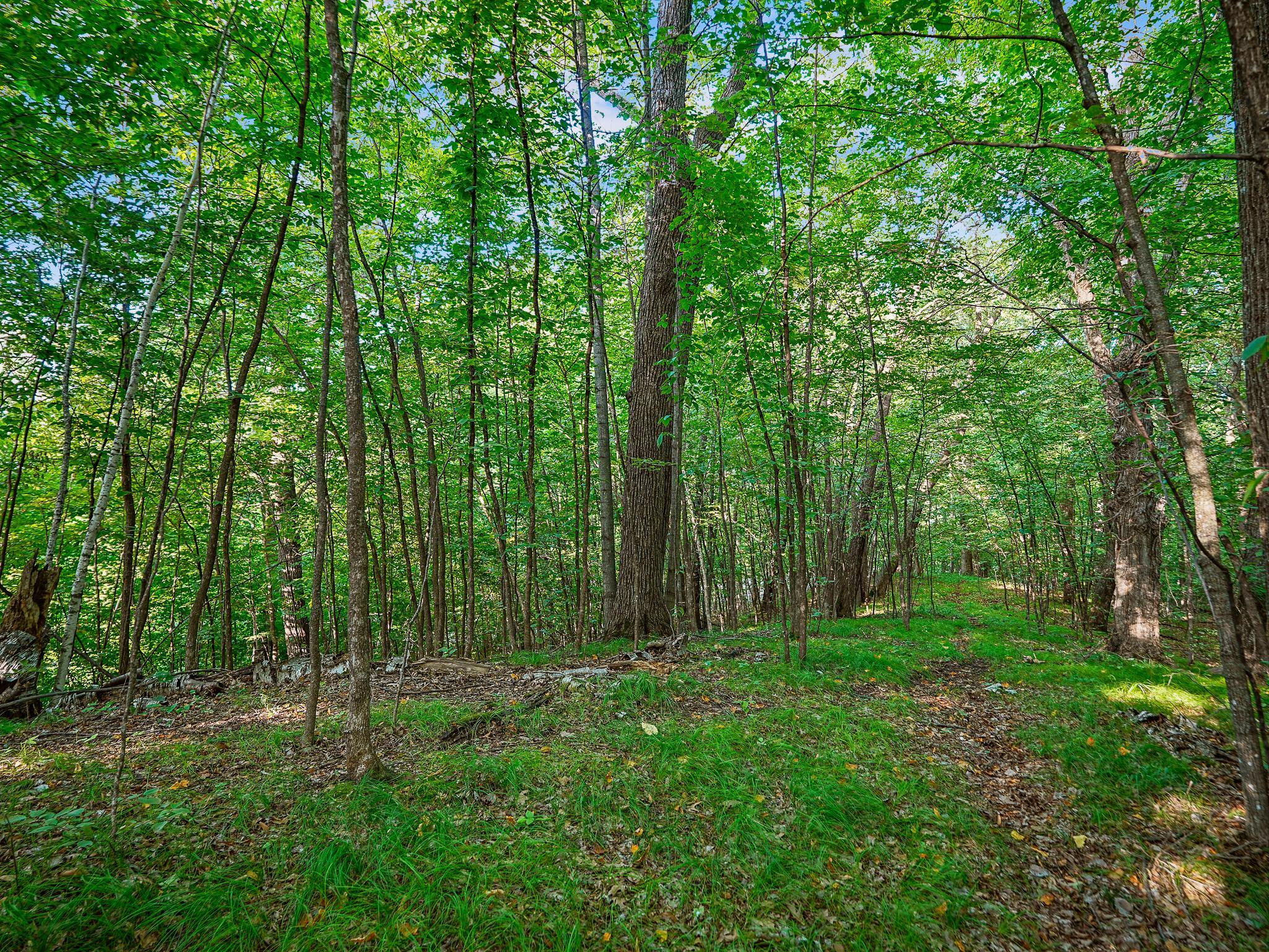 main property photo 60