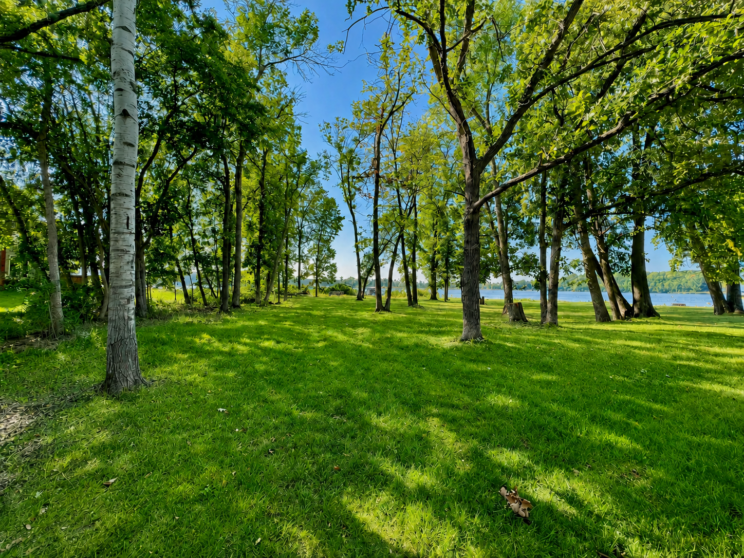 main property photo 36