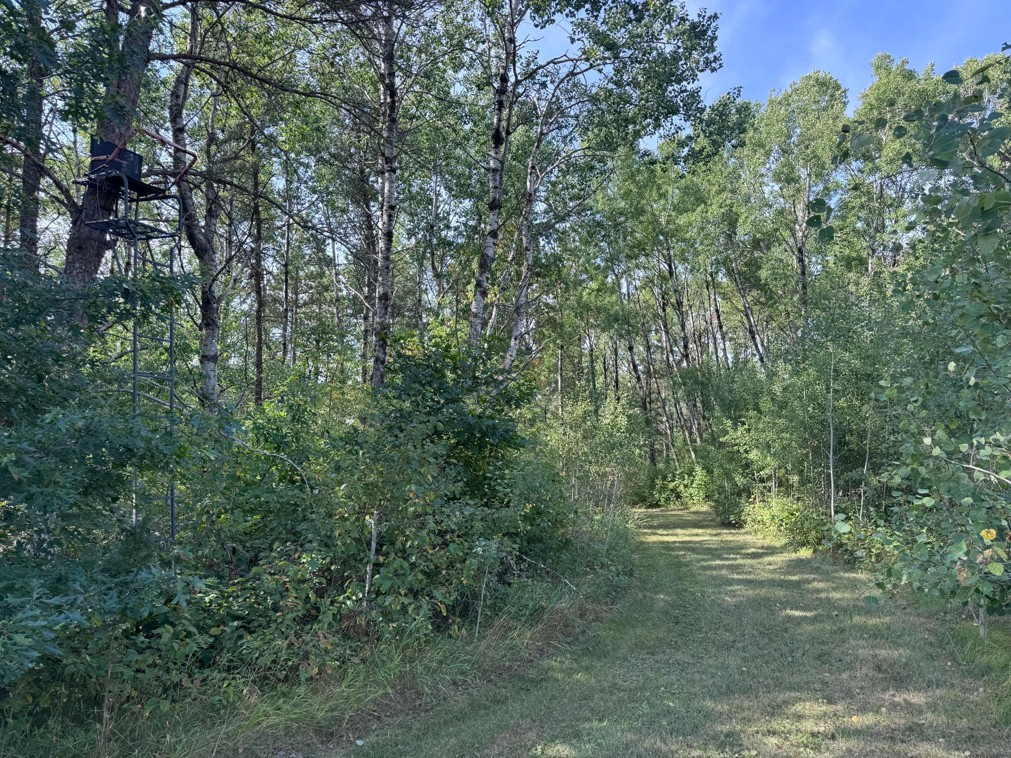 main property photo 7