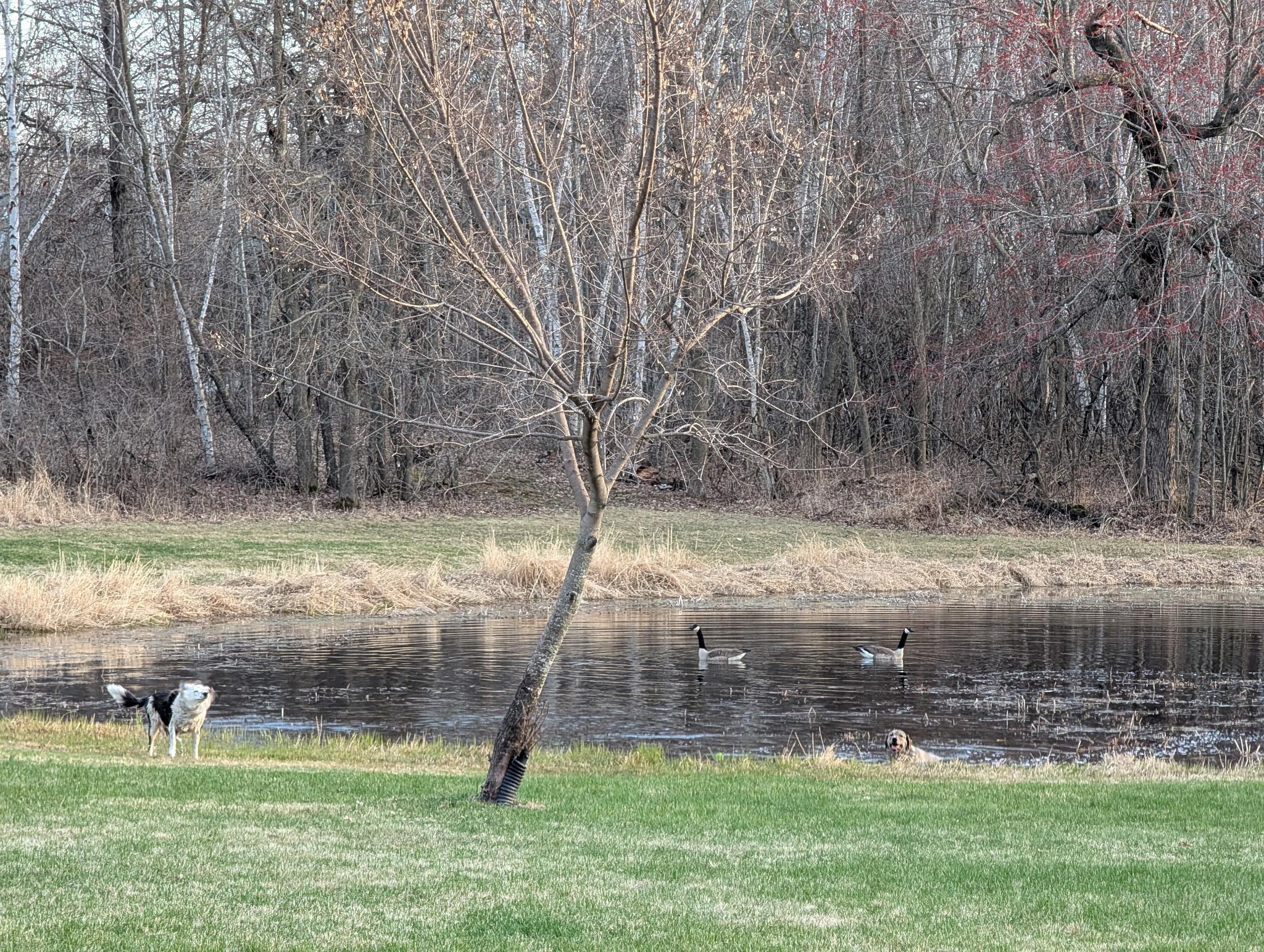 main property photo 44