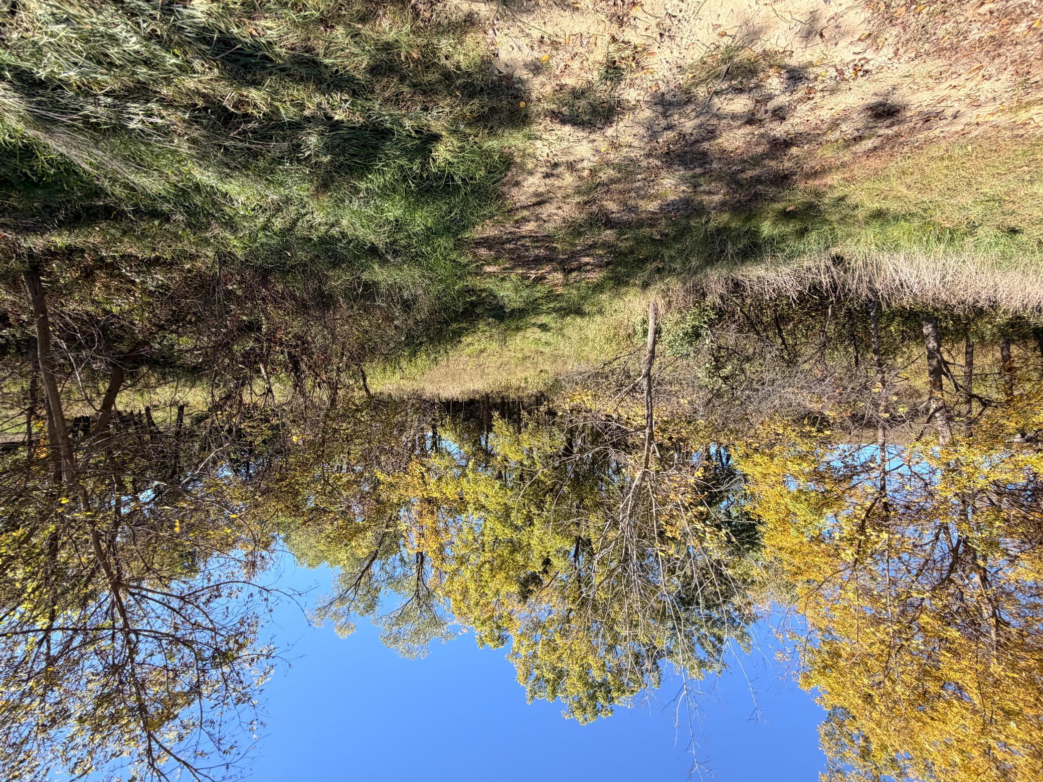 main property photo 46