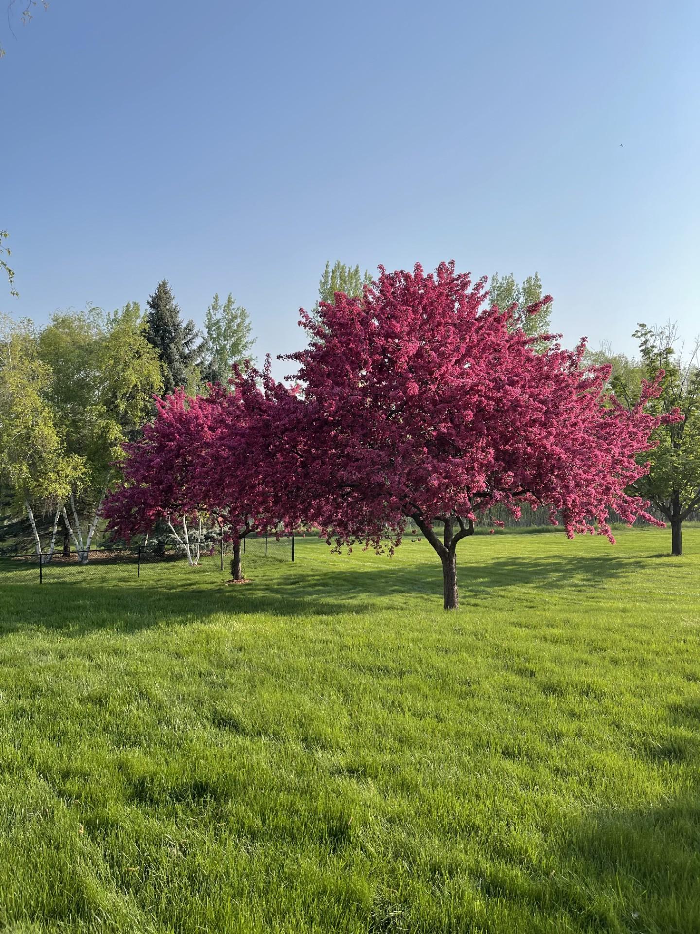 main property photo 53