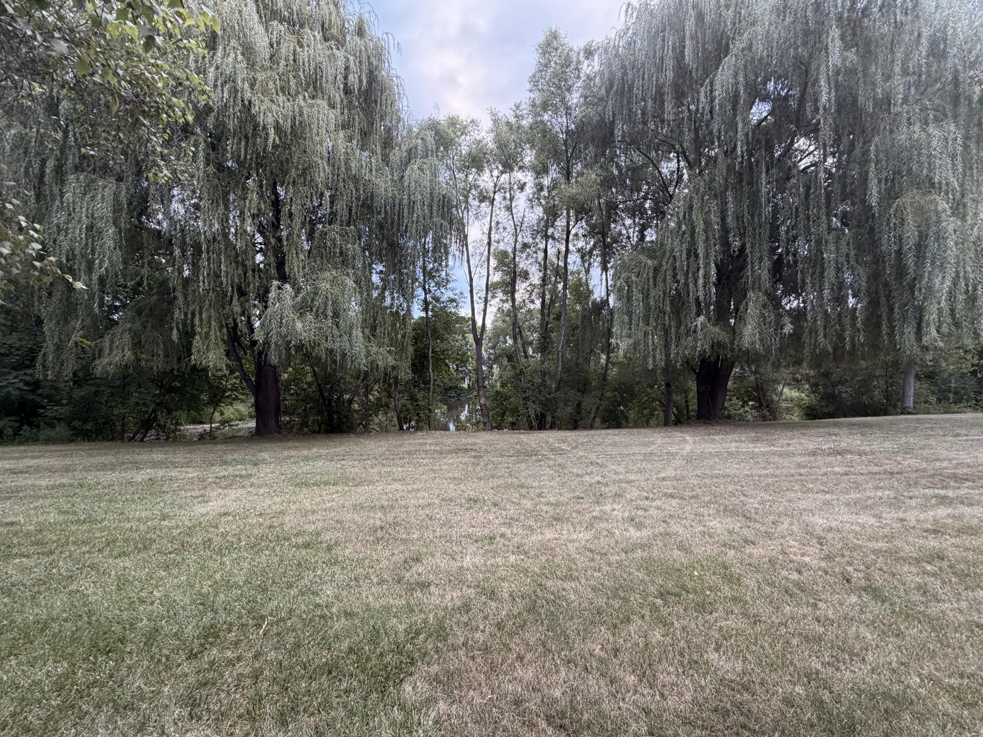 main property photo 58