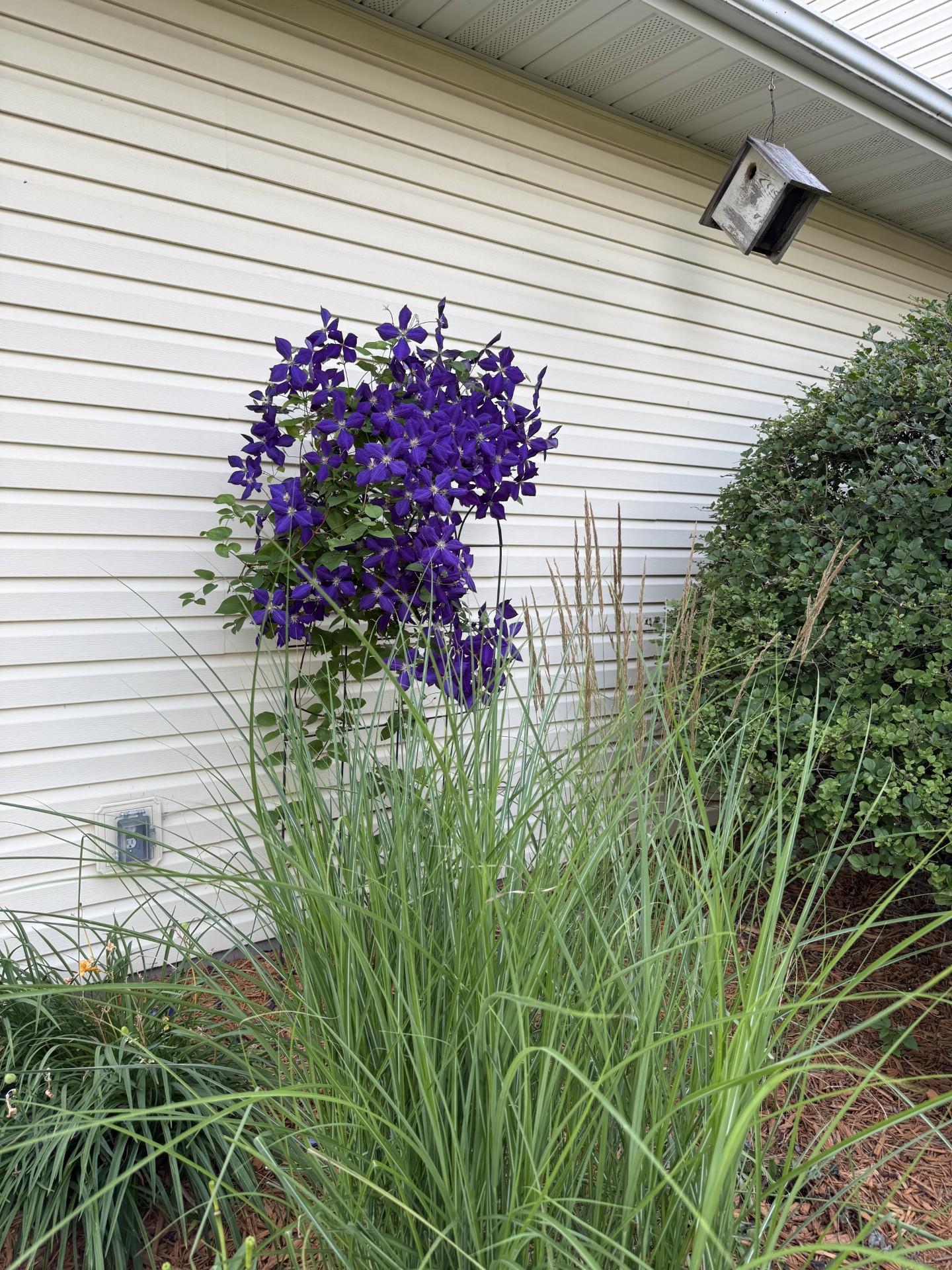 main property photo 60