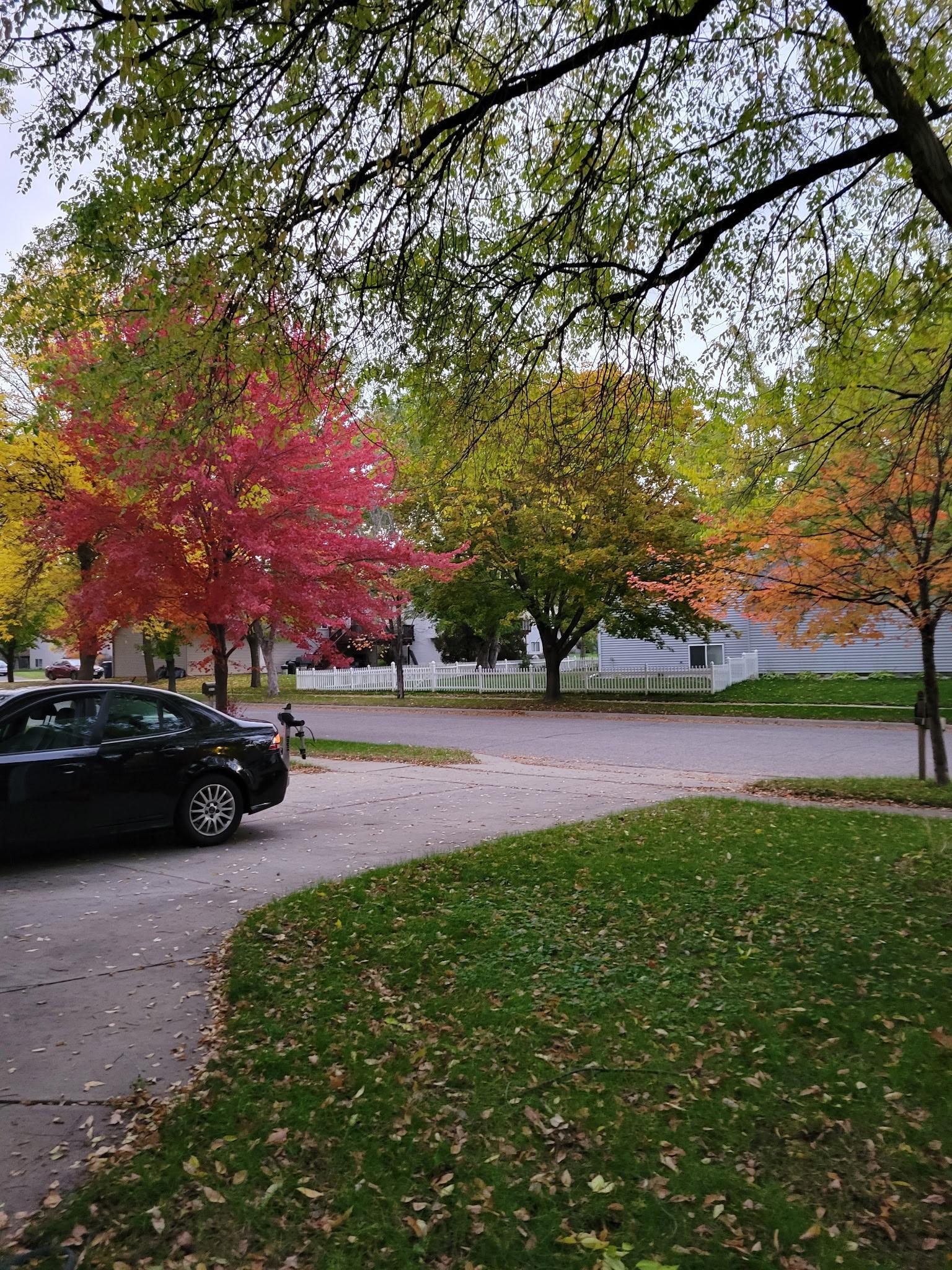 main property photo 28