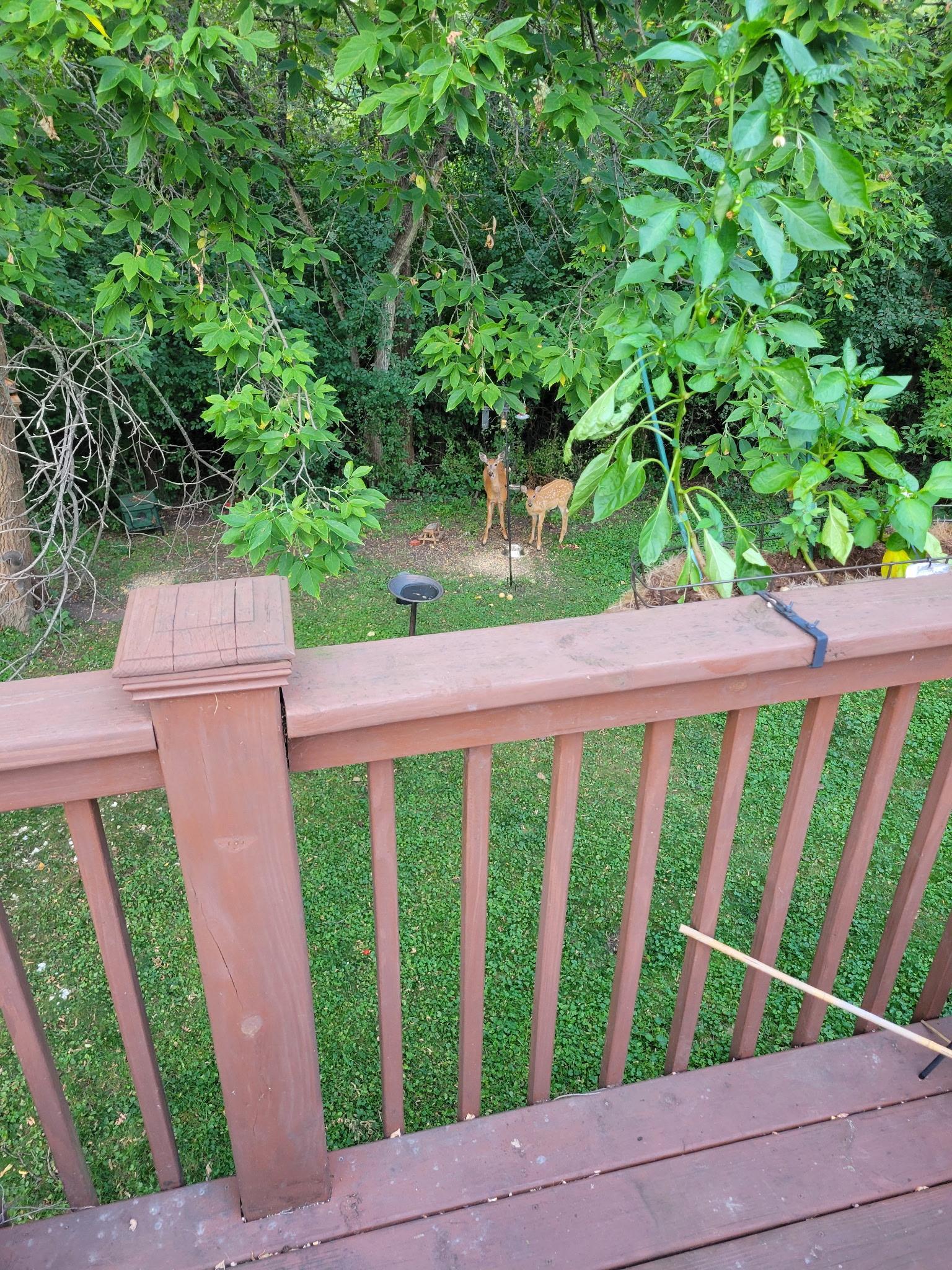 main property photo 29