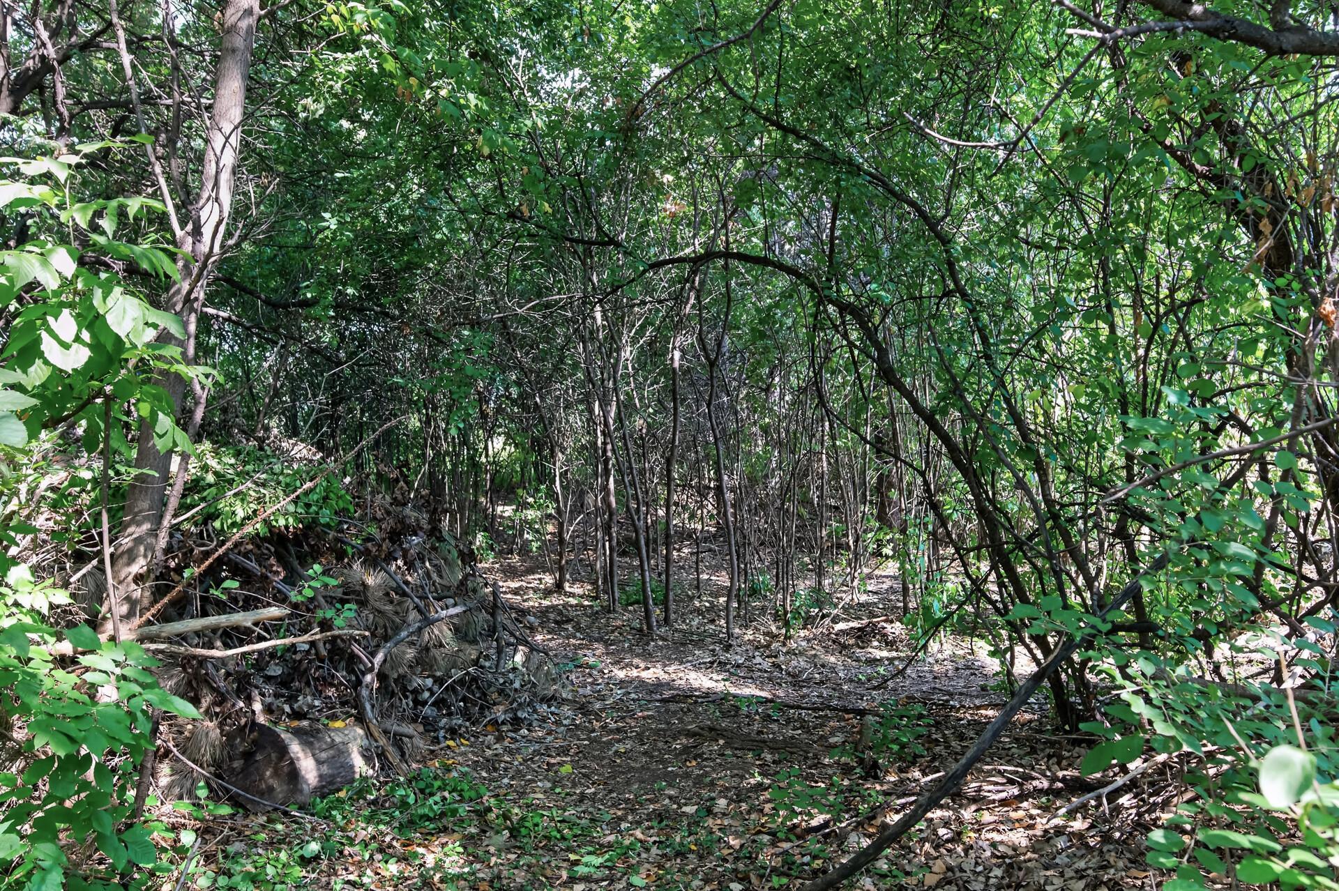 main property photo 48
