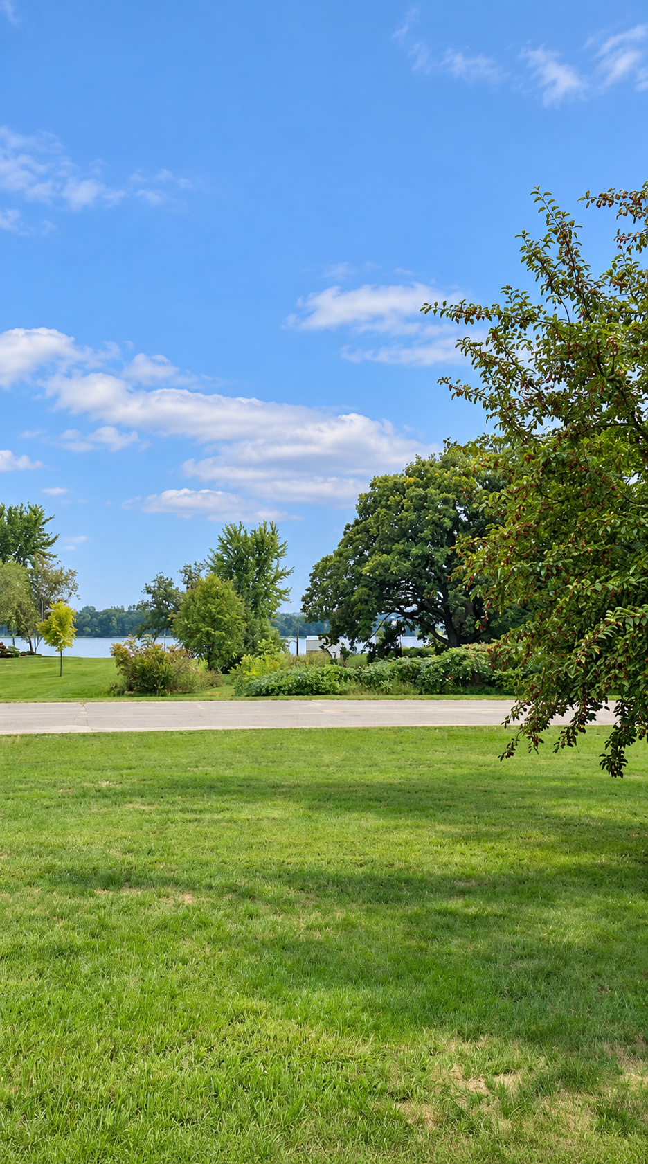 main property photo 46