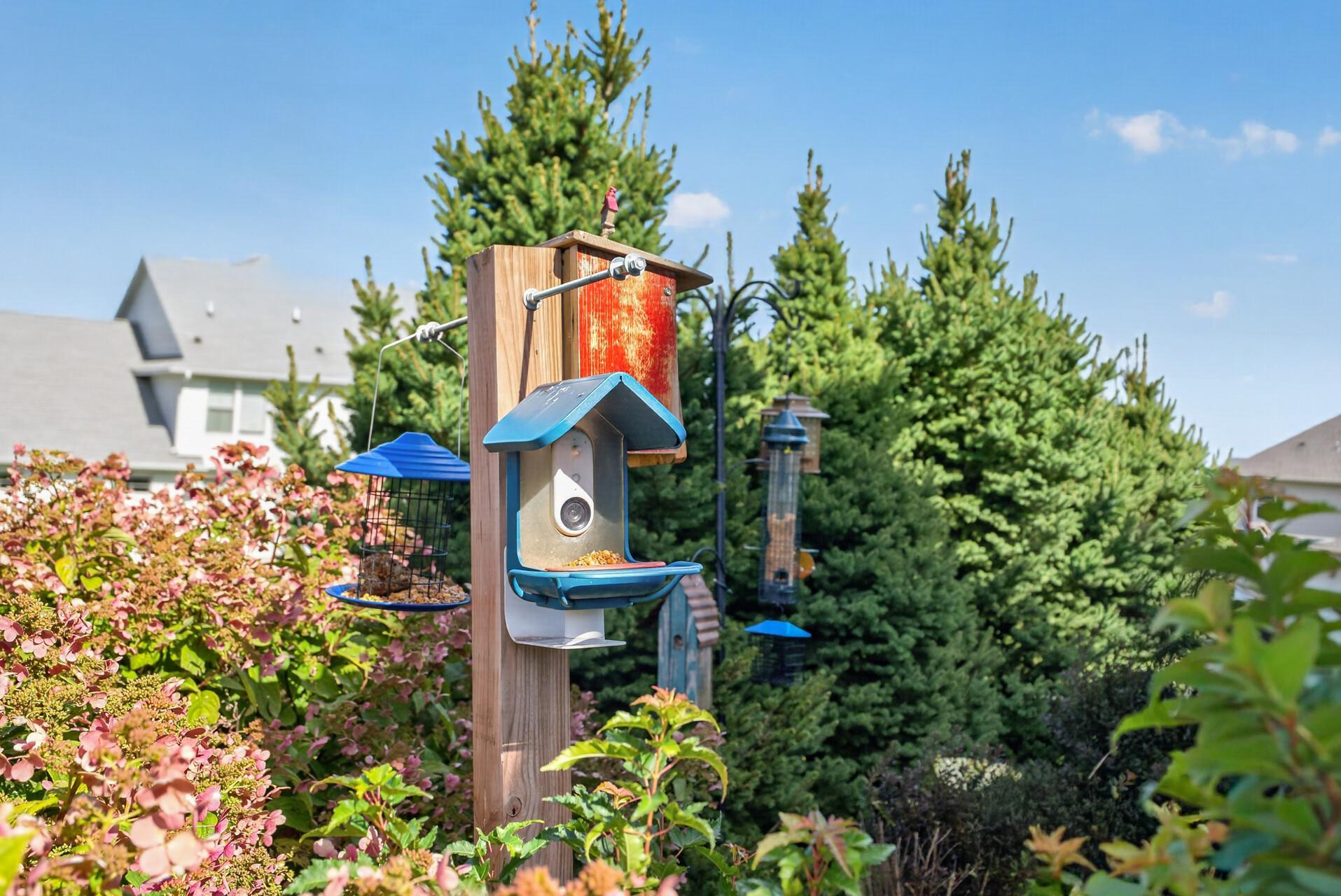 main property photo 56