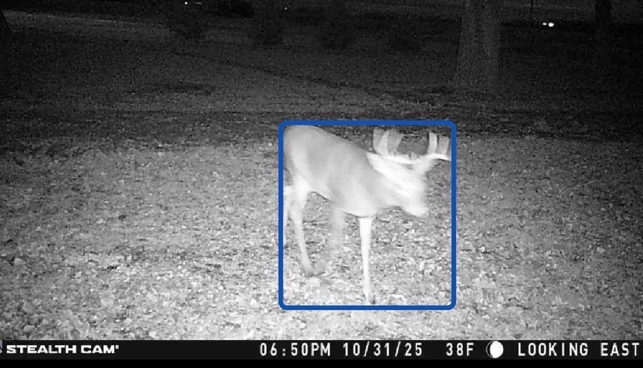 main property photo 5