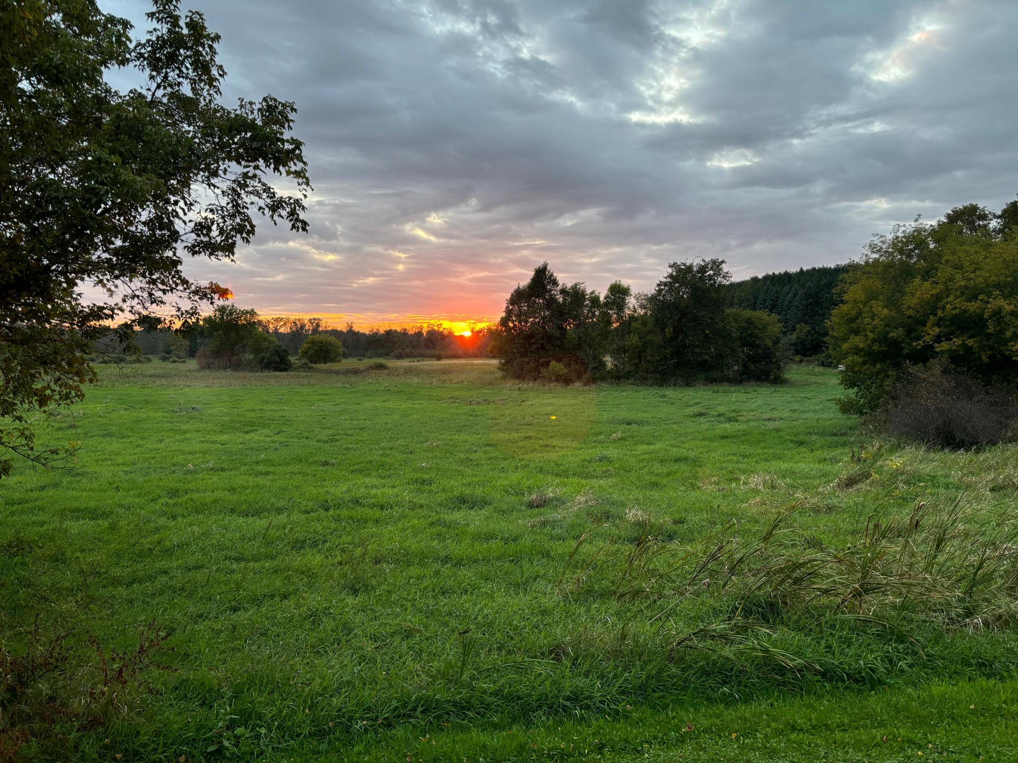 main property photo 61