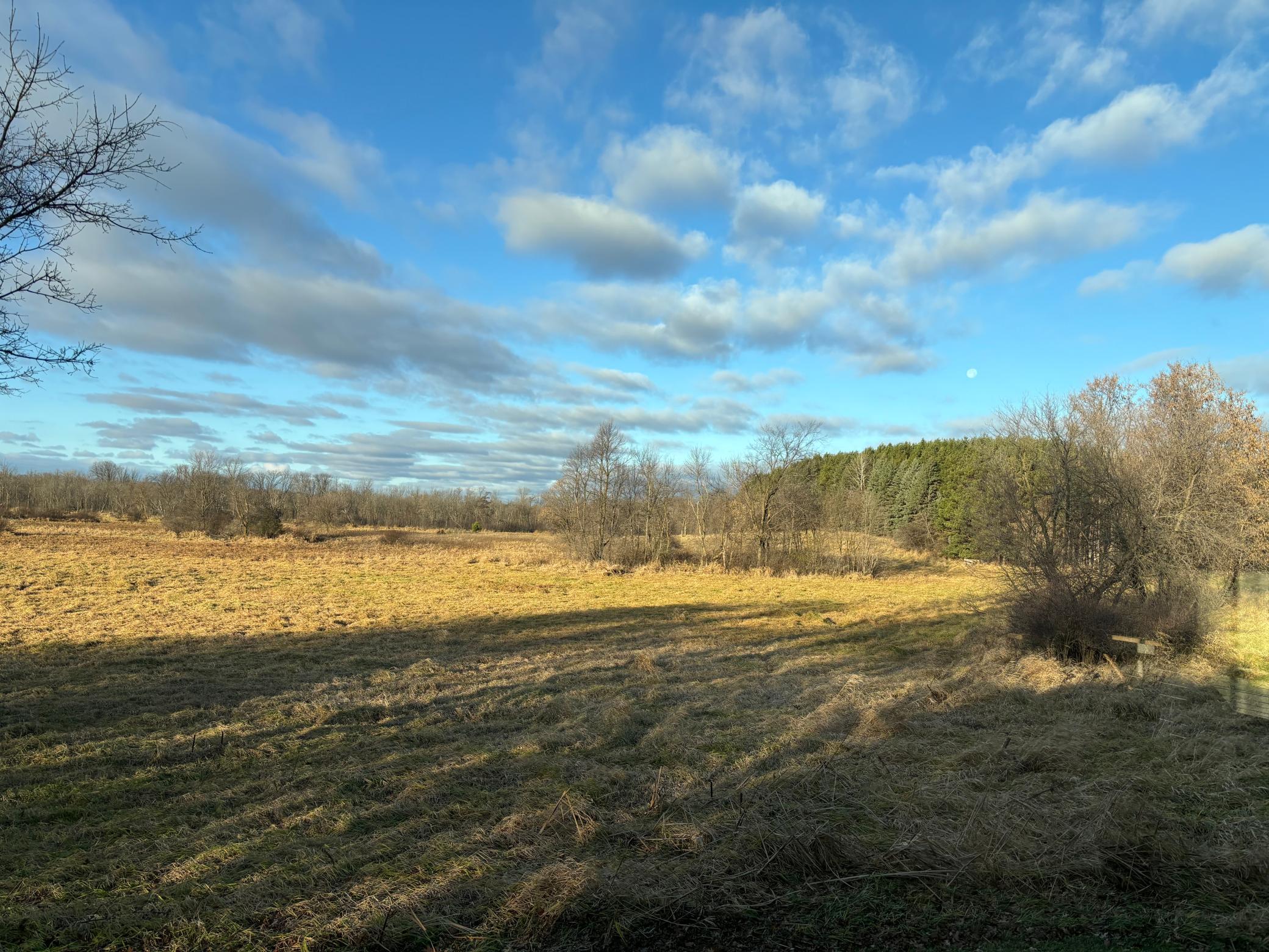 main property photo 62