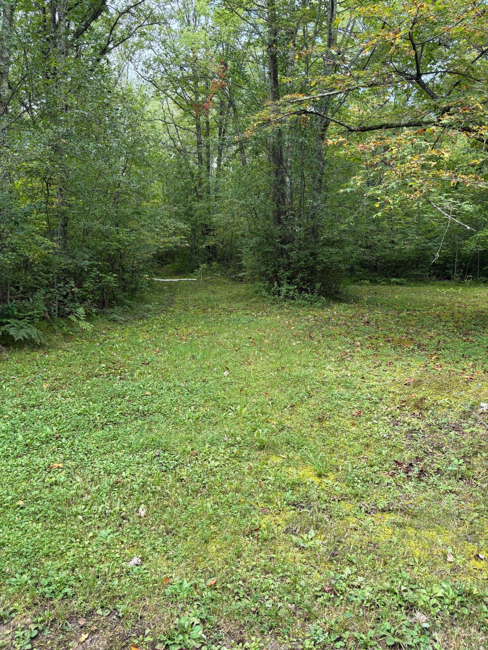 main property photo 53