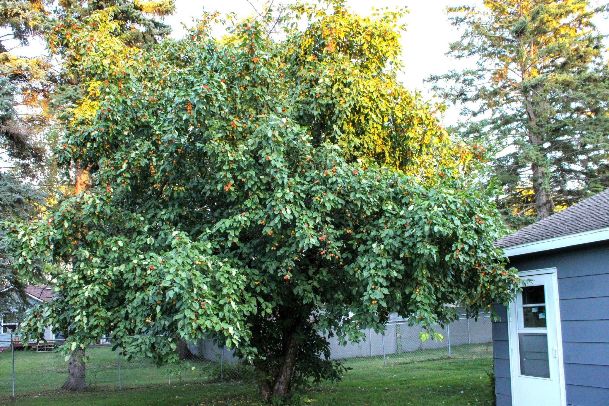 main property photo 27