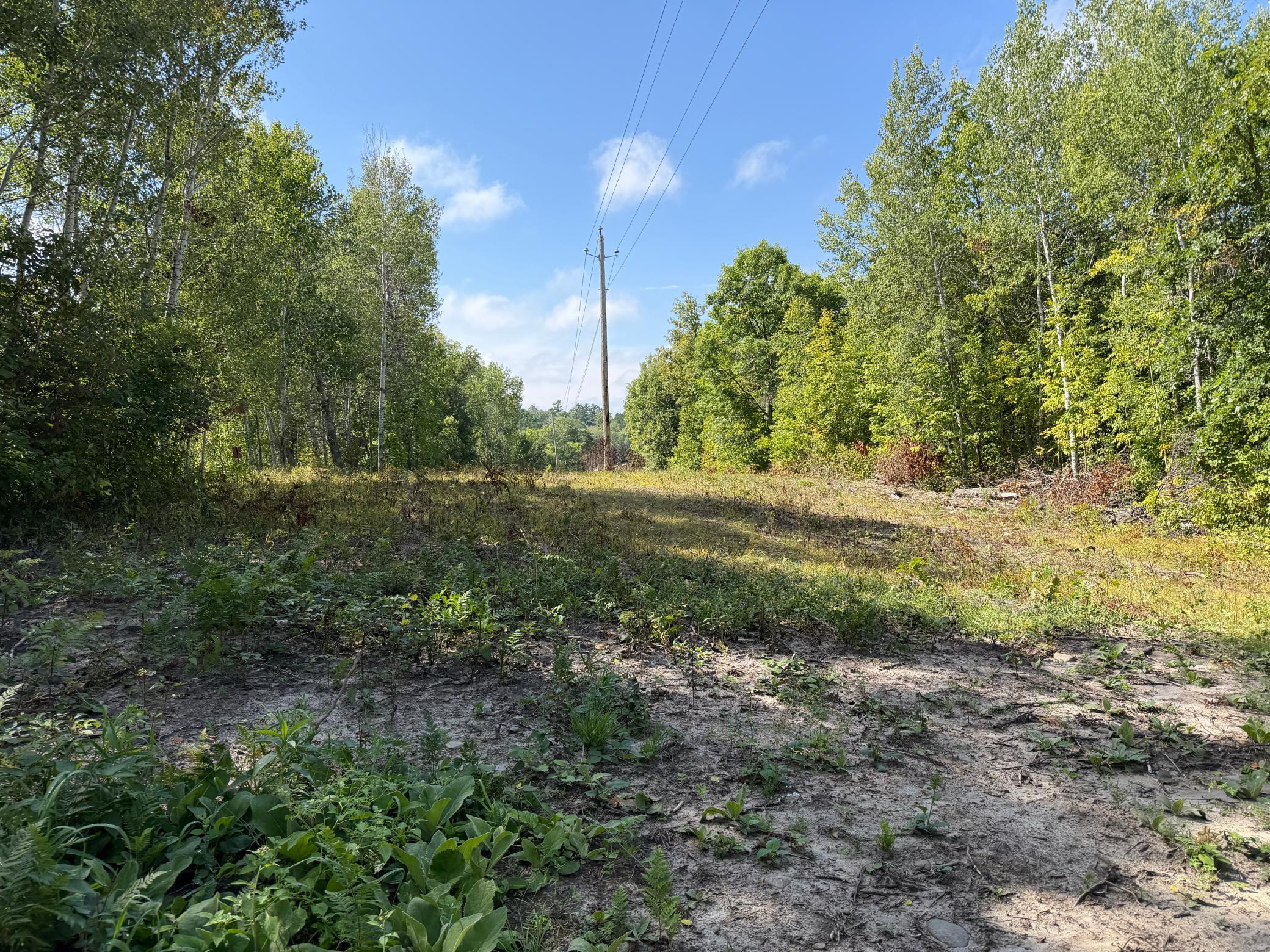 main property photo 24
