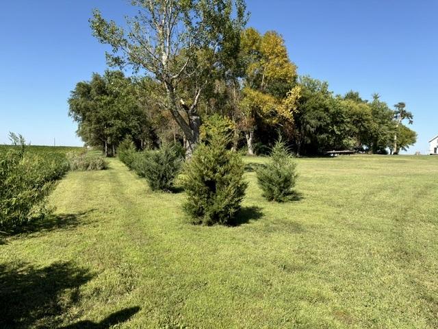 main property photo 29