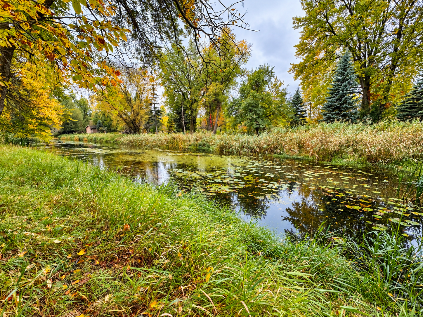 main property photo 31