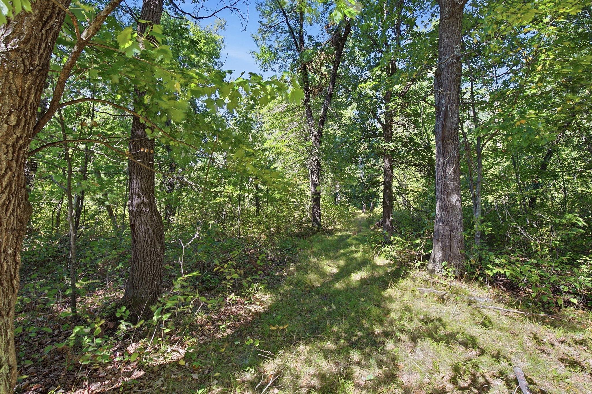 main property photo 10