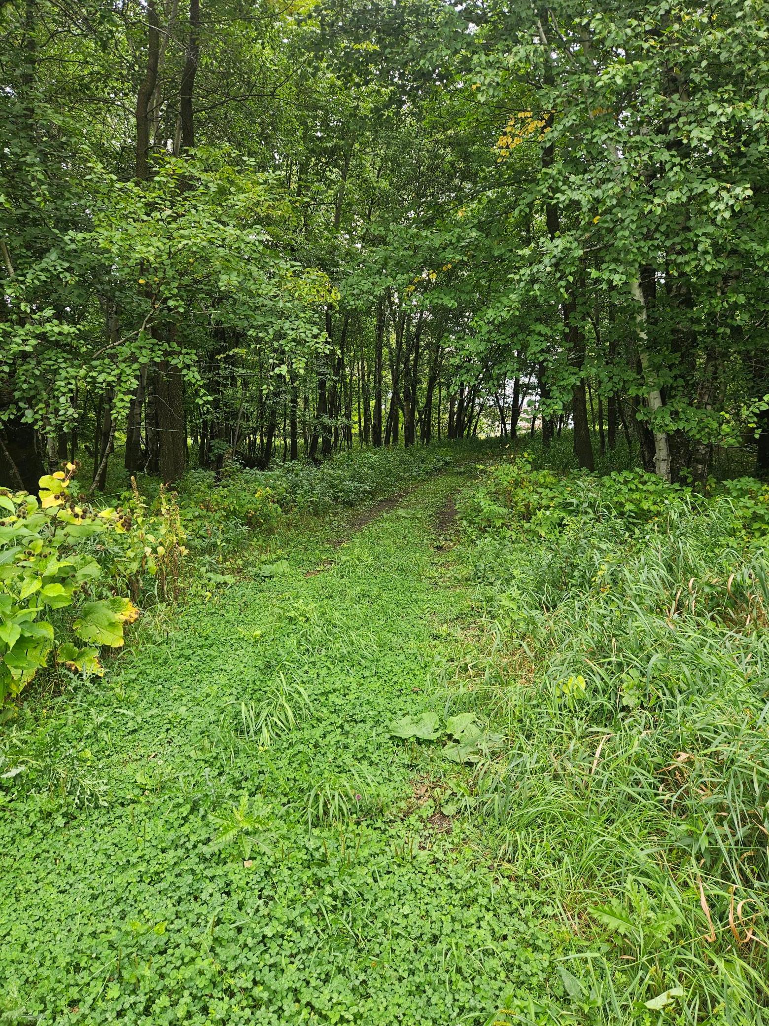 main property photo 11
