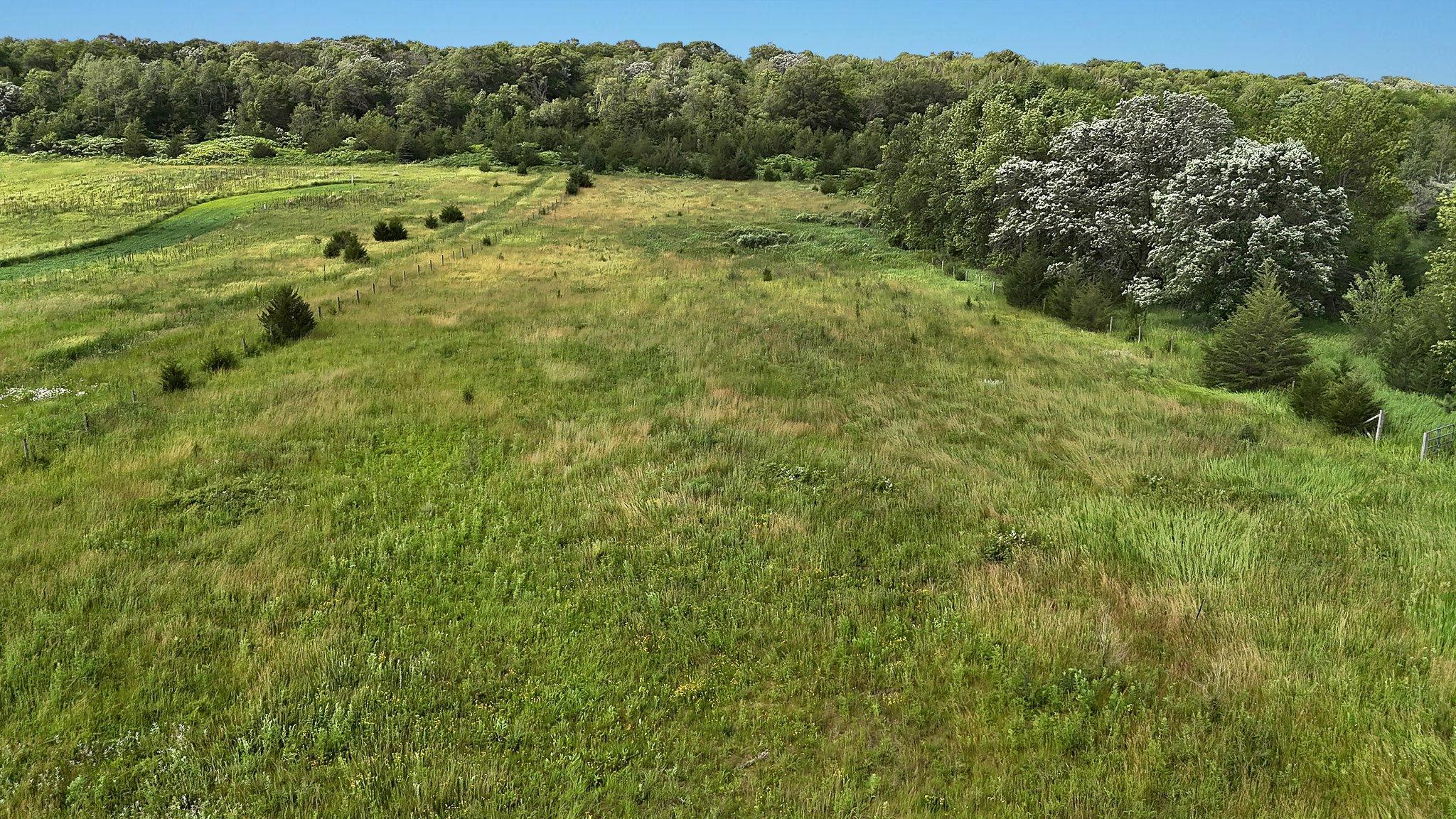 main property photo 64