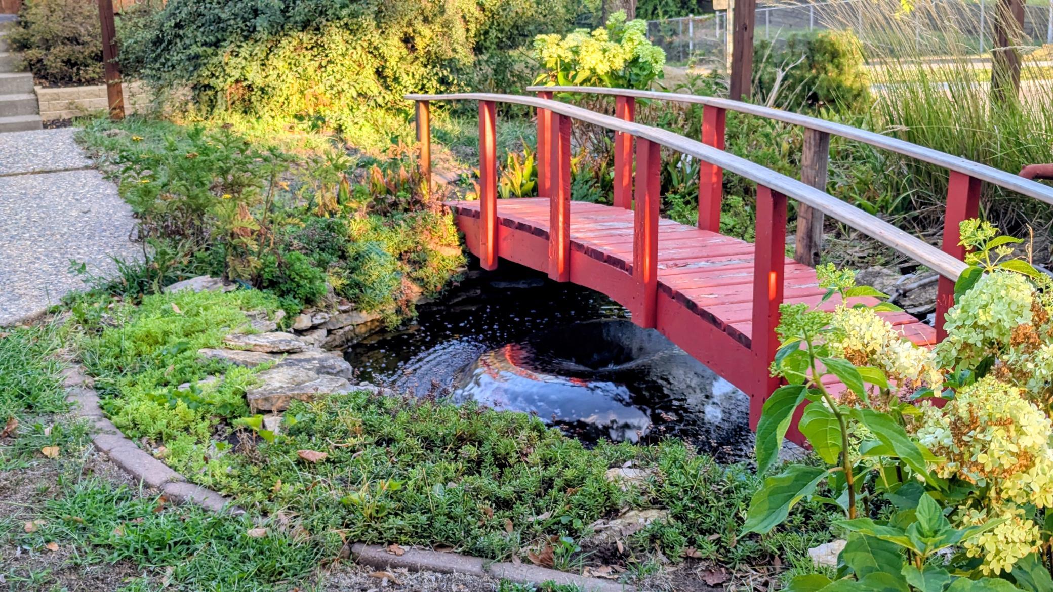 main property photo 13