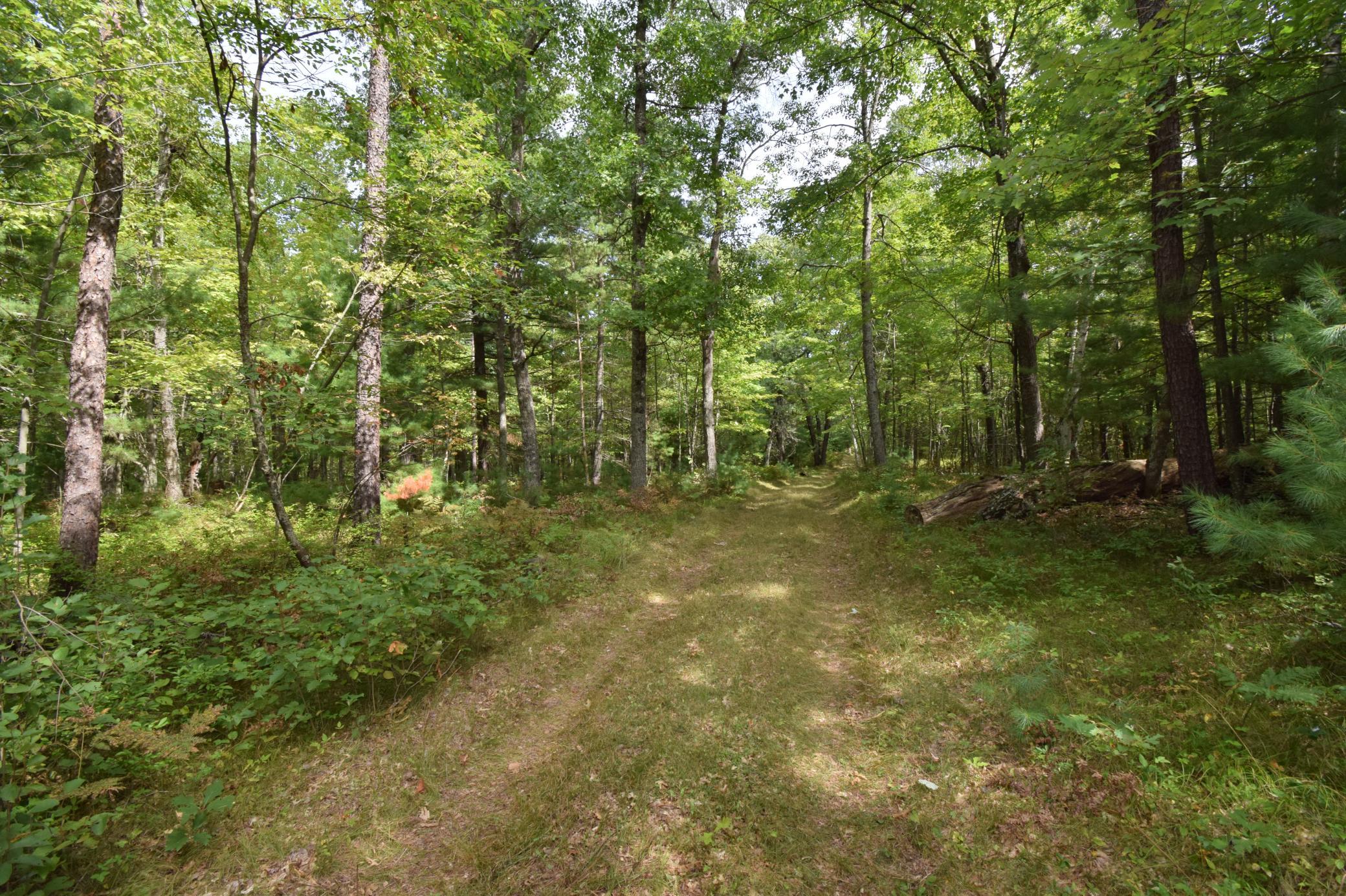 main property photo 41