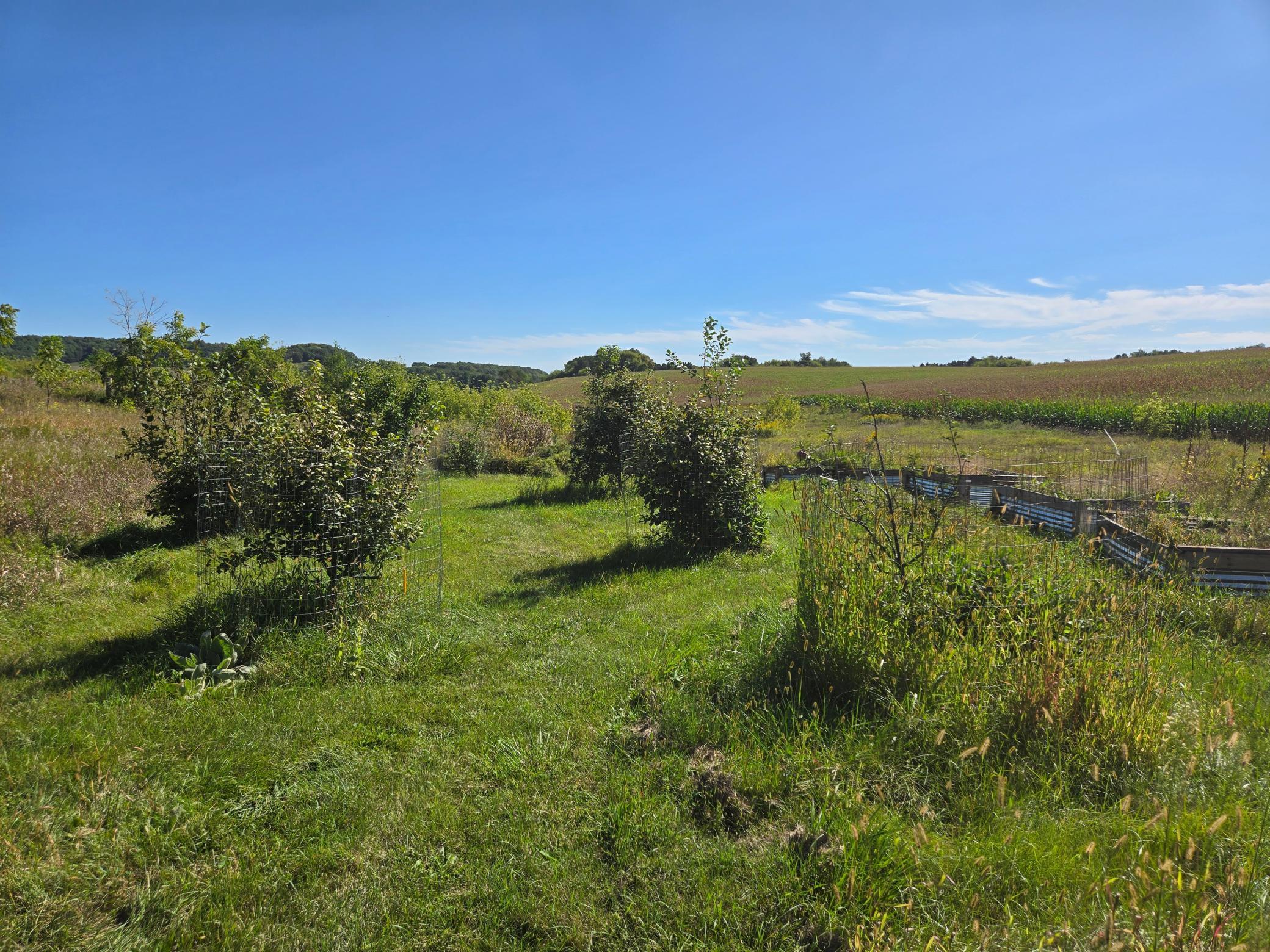 main property photo 11