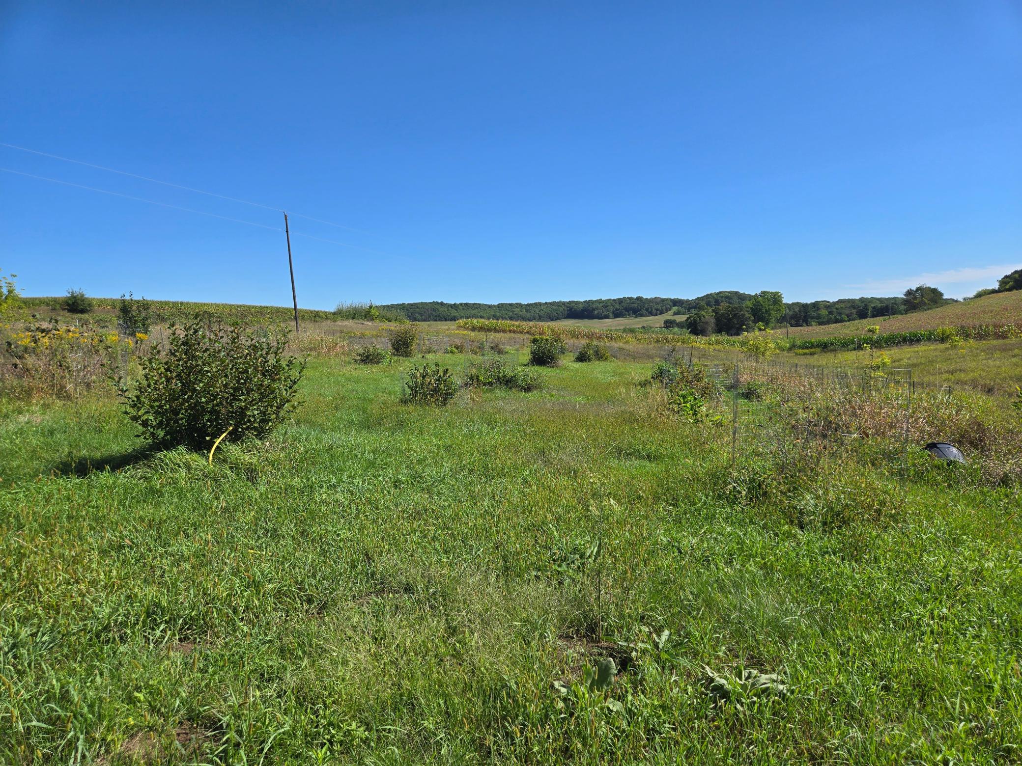 main property photo 12