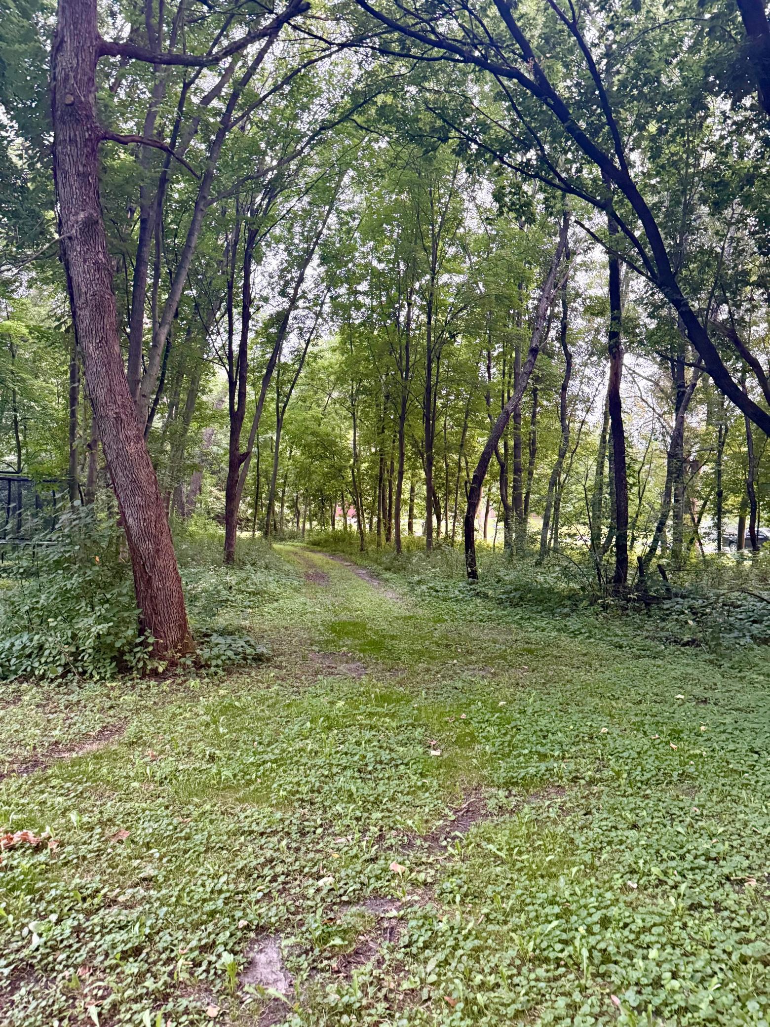 main property photo 36